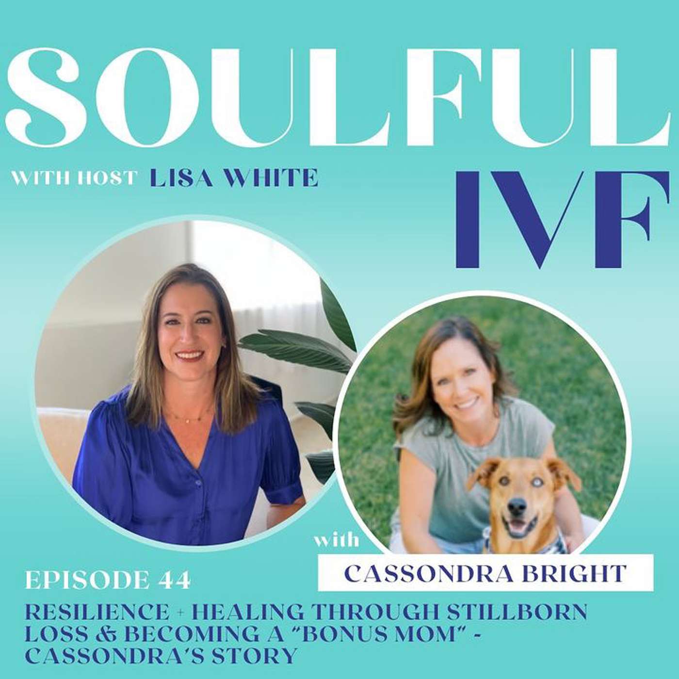 Resilience + Healing Through Stillborn Loss & Becoming a “Bonus Mom” - Cassondra’s Story (Ep: 44) episode artwork