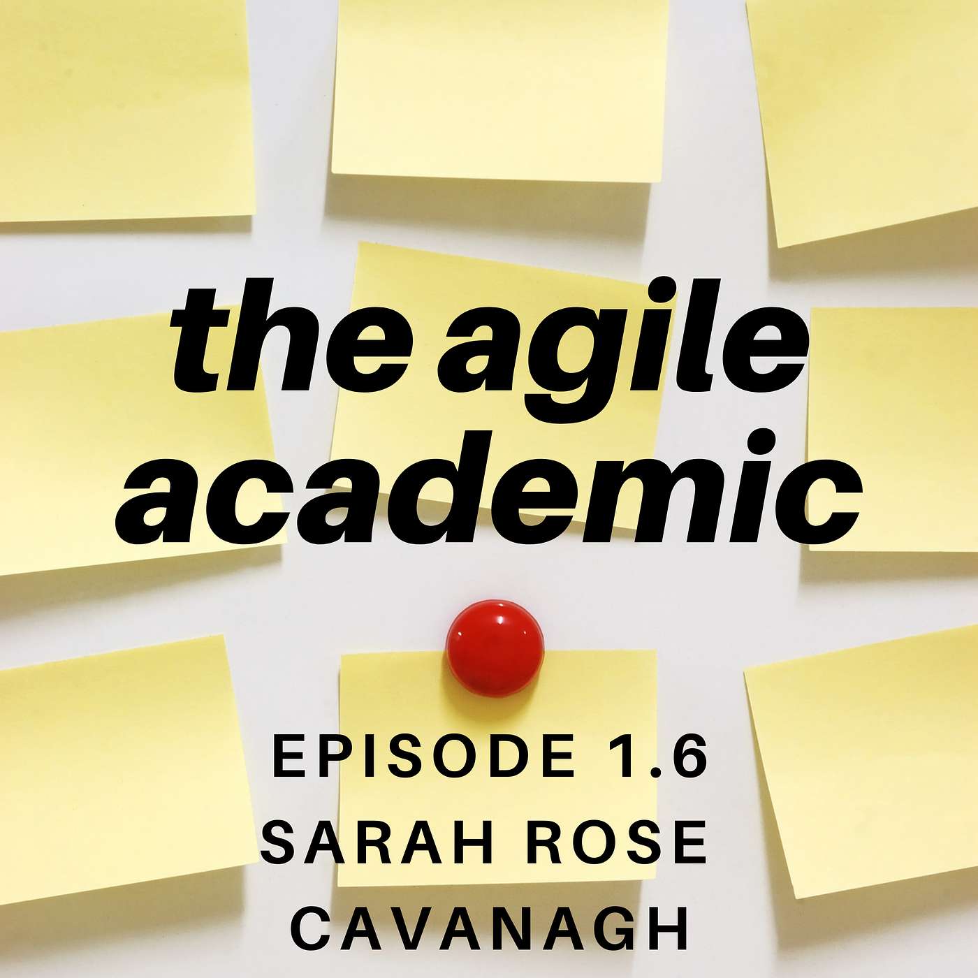the agile academic