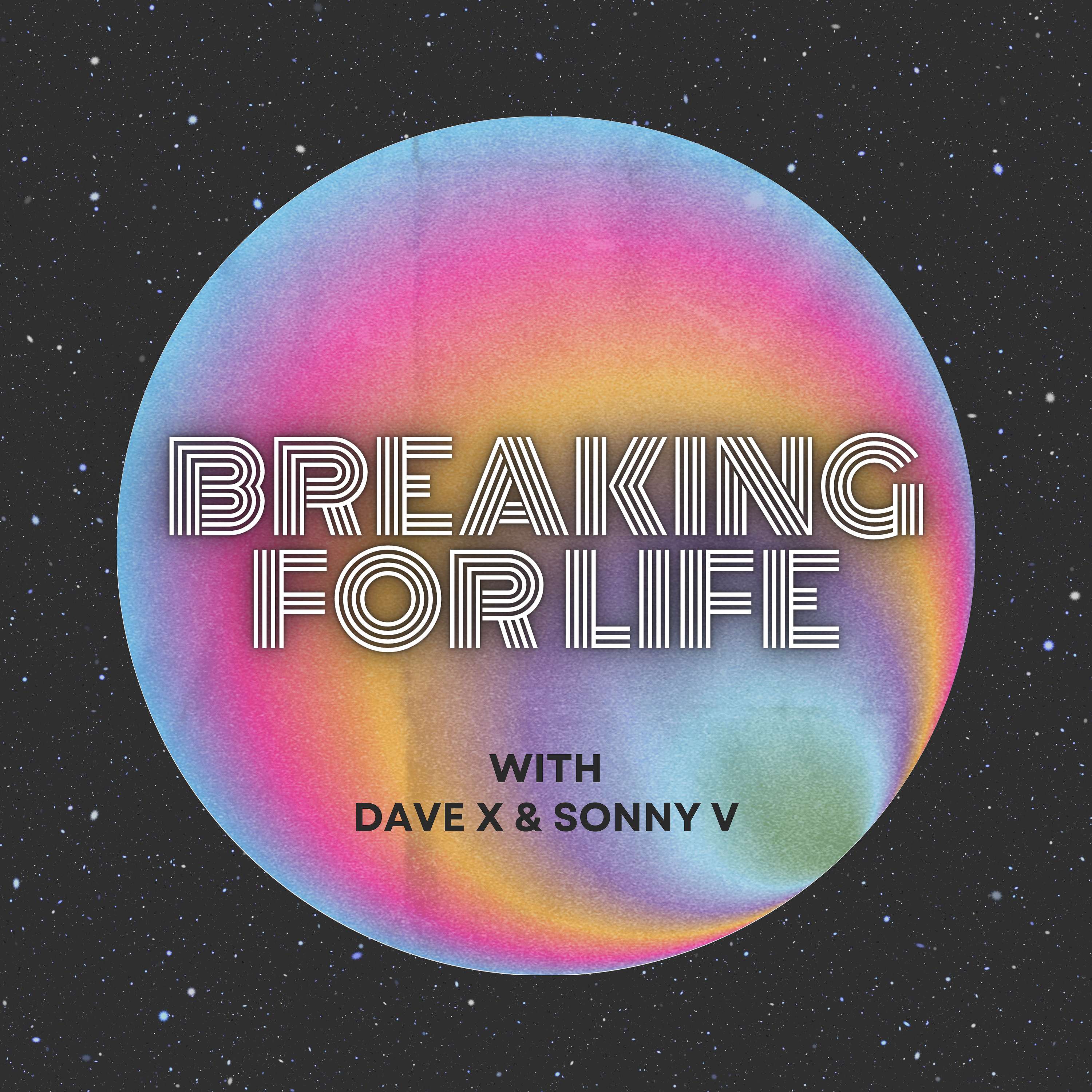 Breaking For Life cover art