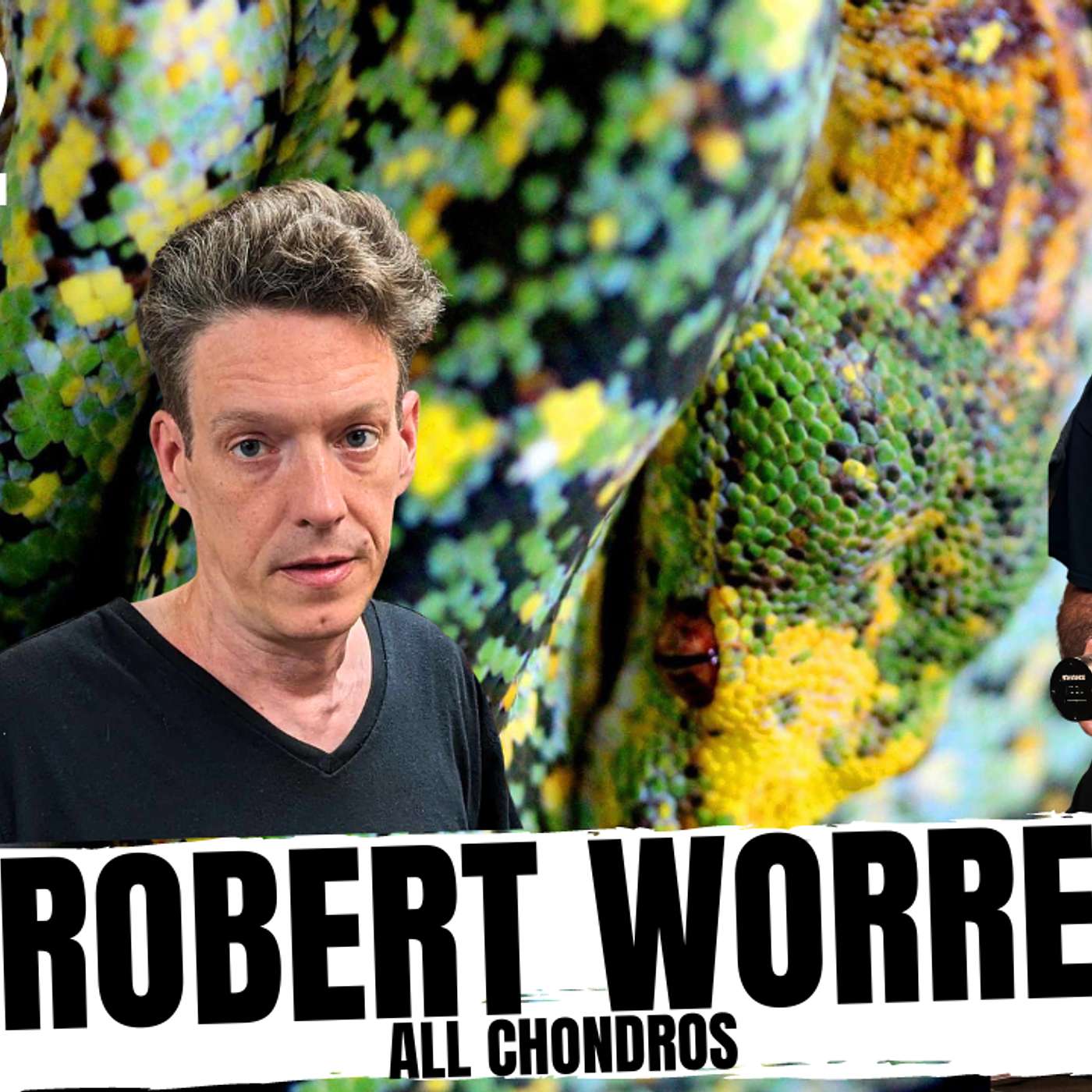 THE STORY OF ROBERT WORRELL & GREEN TREE PYTHONS | ALL IN THE TREE TUESDAY LIVE