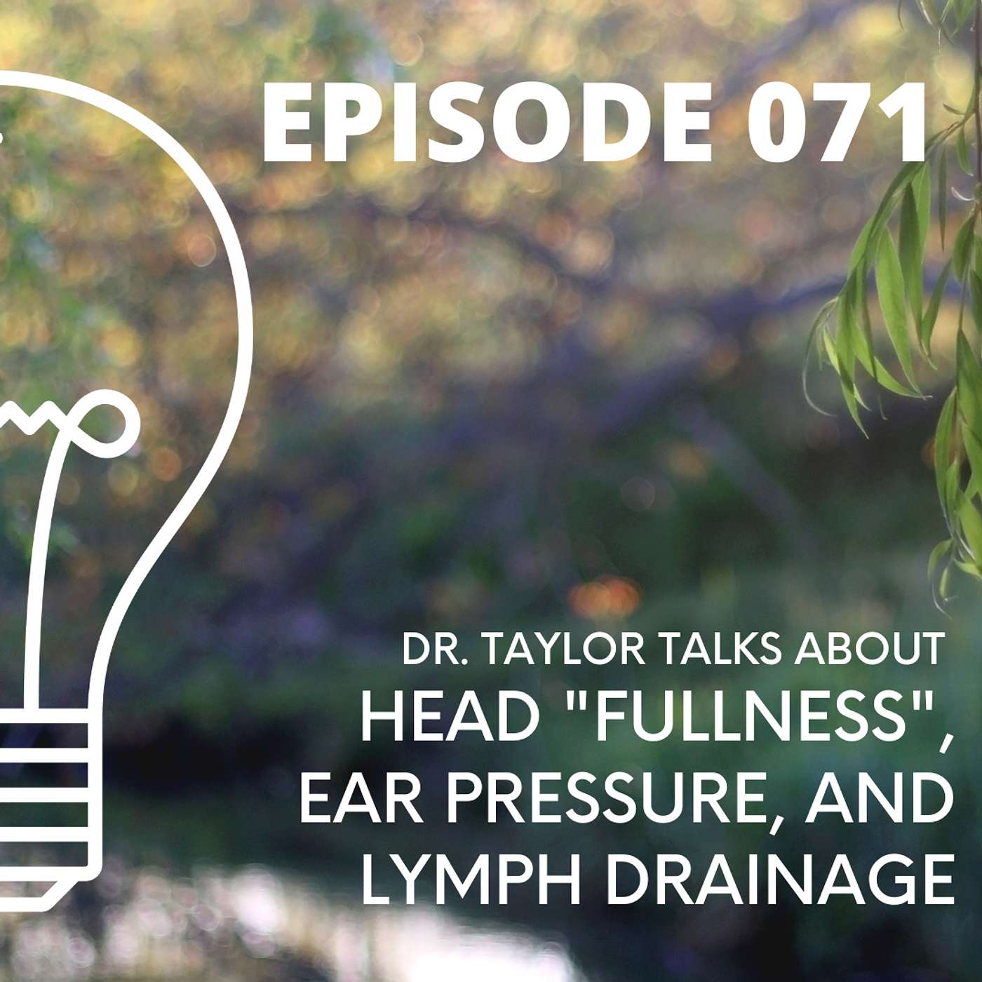071 - Dr. Taylor Talks About - Head "Fullness", Ear Pressure, and Lymph Drainage 071 - Dr. Taylor Talks About - Head "Fullness", Ear Pressure, and Lymph Drainage
