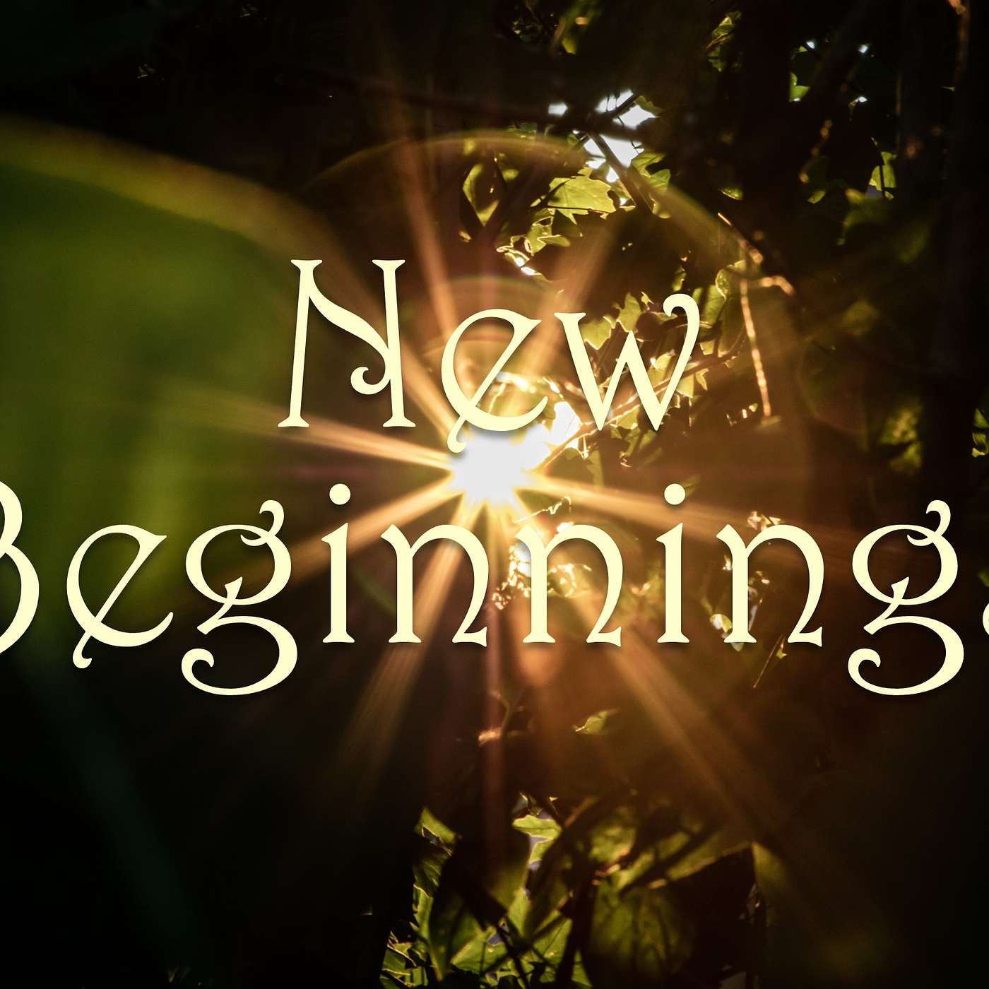 New Beginnings