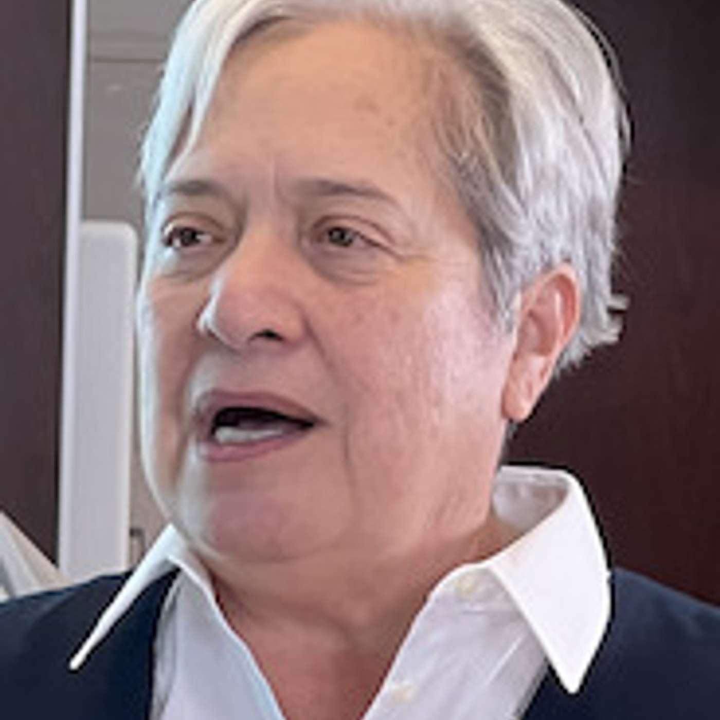 Everything Sister Norma Pimentel said at WGU/AltaCair health equity conference episode artwork