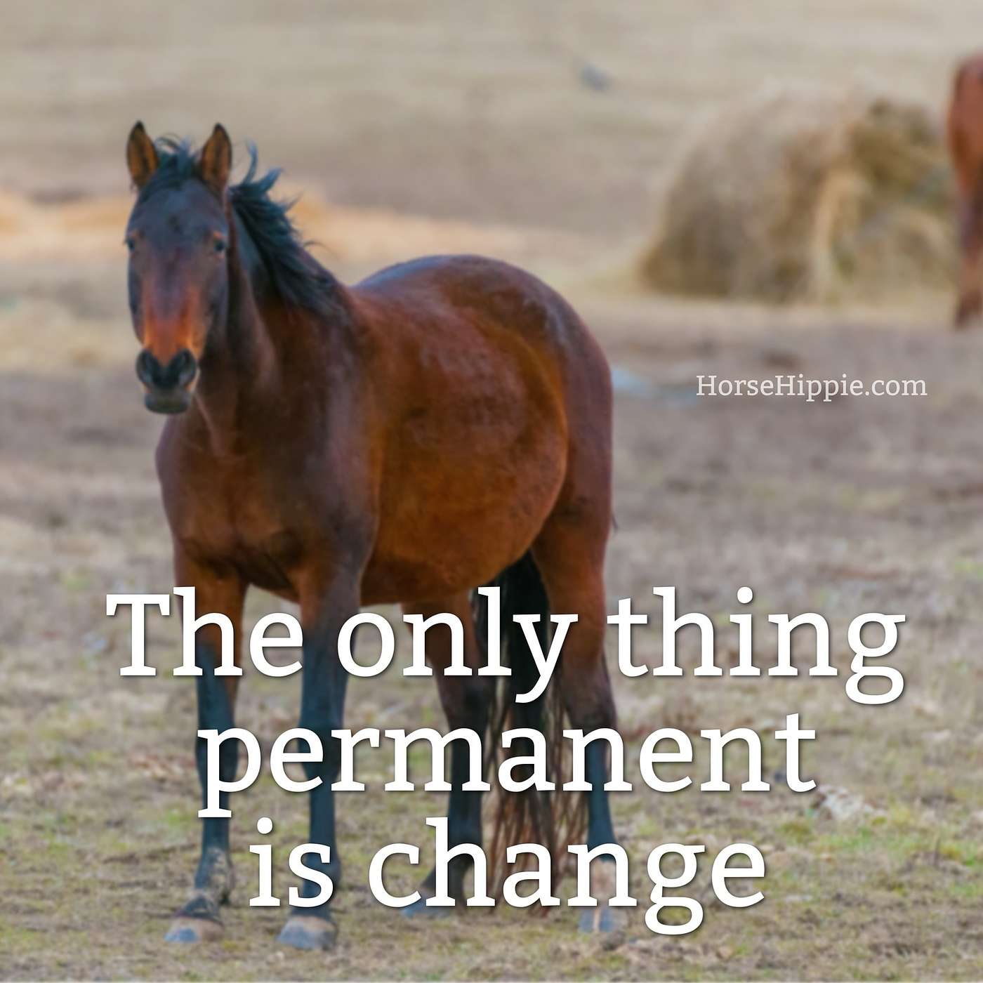 Life is Temporary Life is Temporary