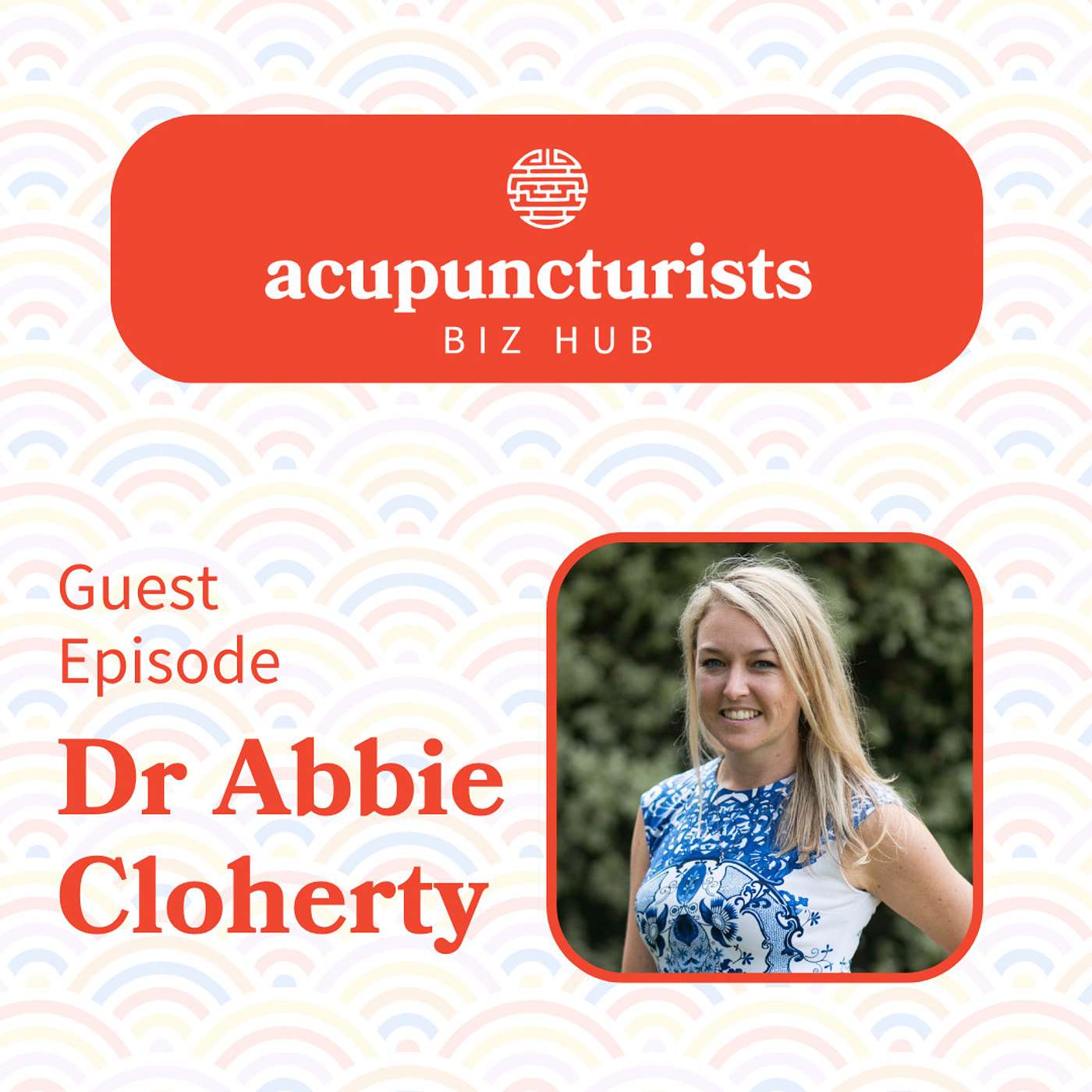 The Acupuncturists Biz Hub