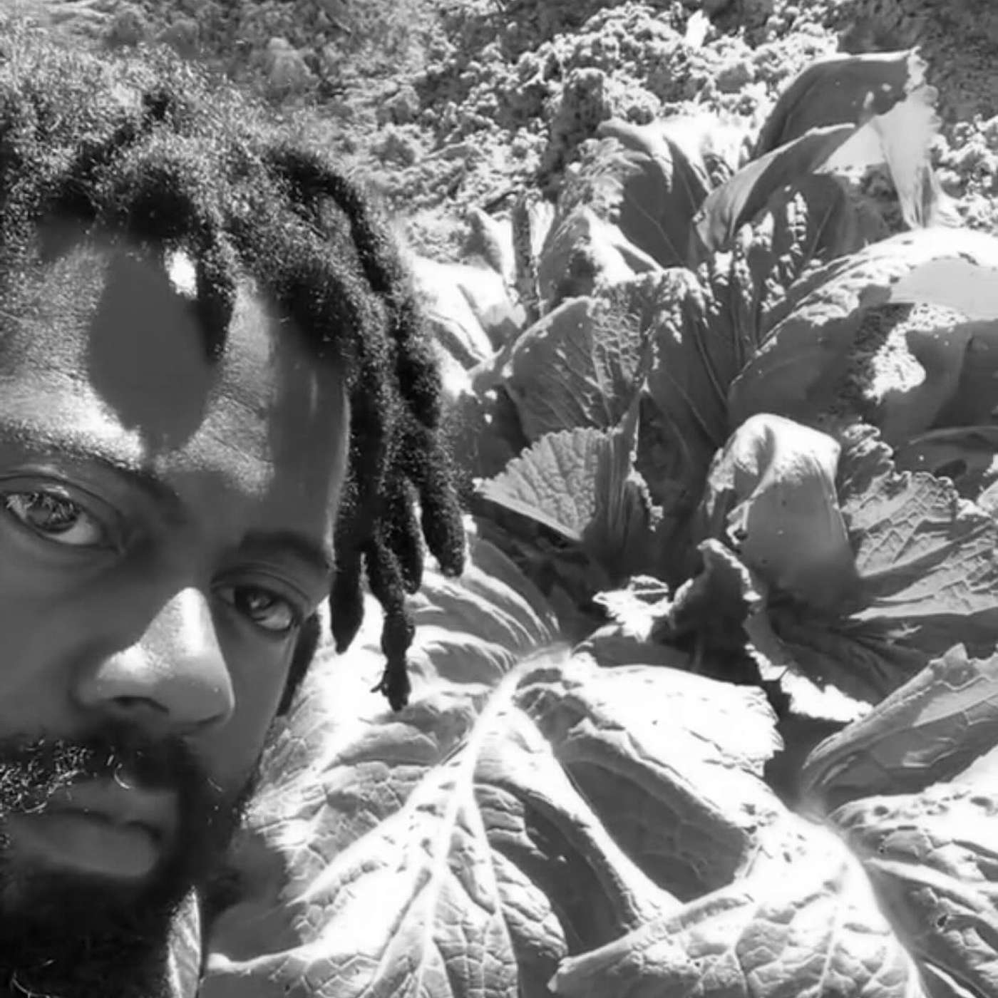 BLAK Gardener Talk