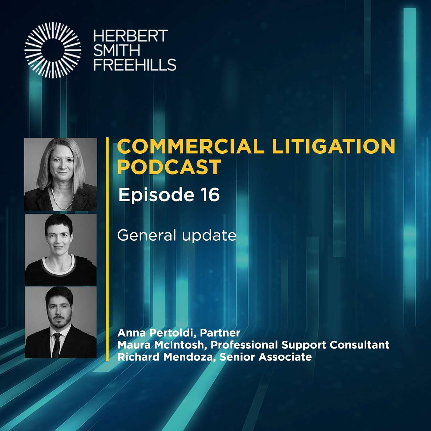 Commercial Litigation EP16: General Update episode artwork