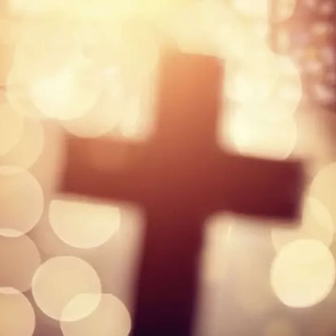 Homily for Sunday Ordinary 24 B