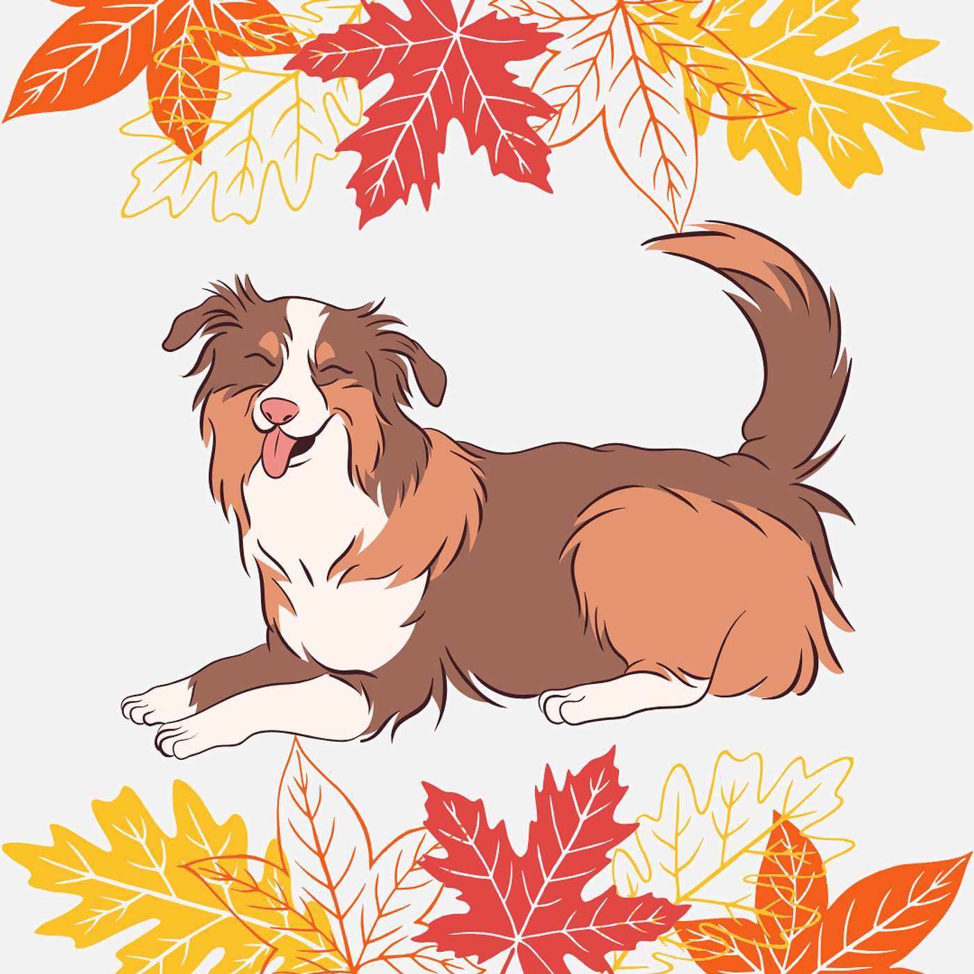 Story Share - Cranes, Canines, and Connection