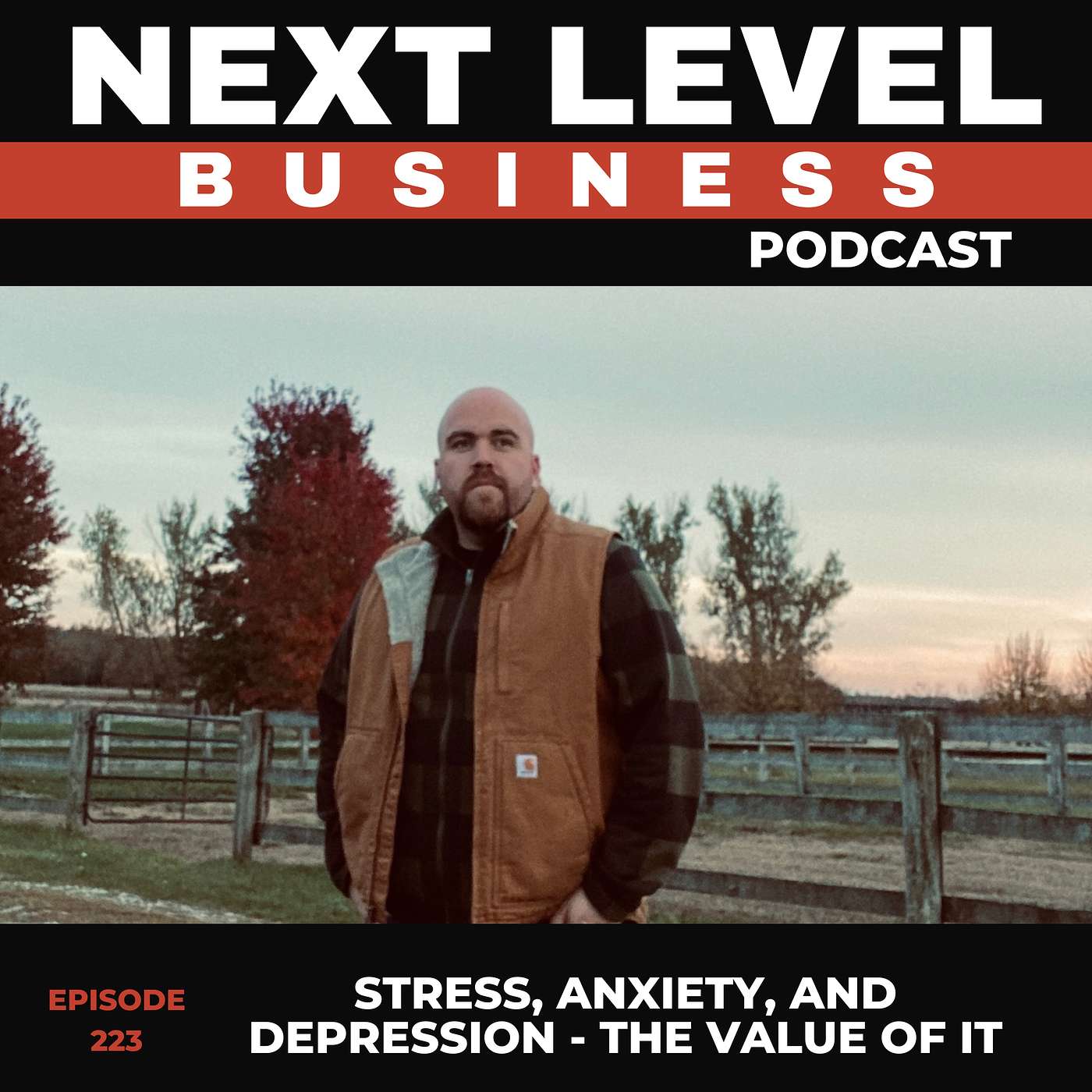 Stress, Anxiety, and Depression - The value of it
