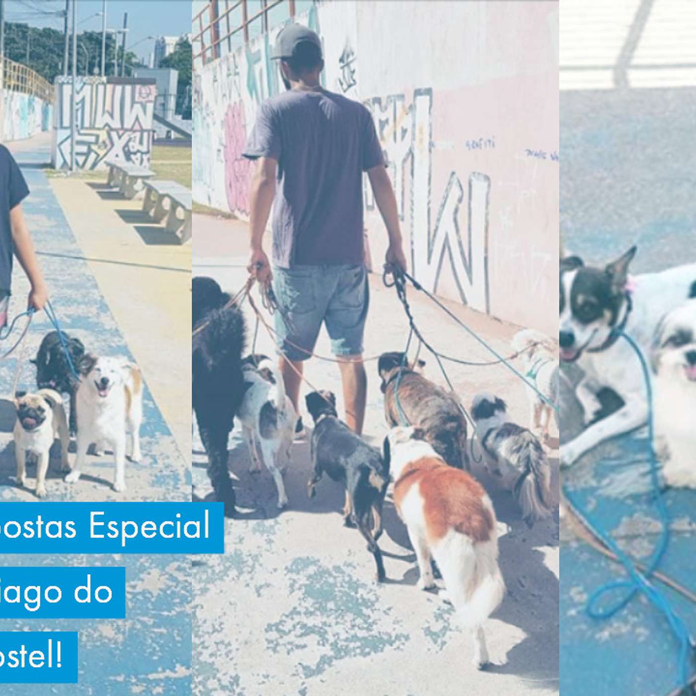 Perguntas e Respostas - Especial com a turma do Bangalô Dog Hostel episode artwork