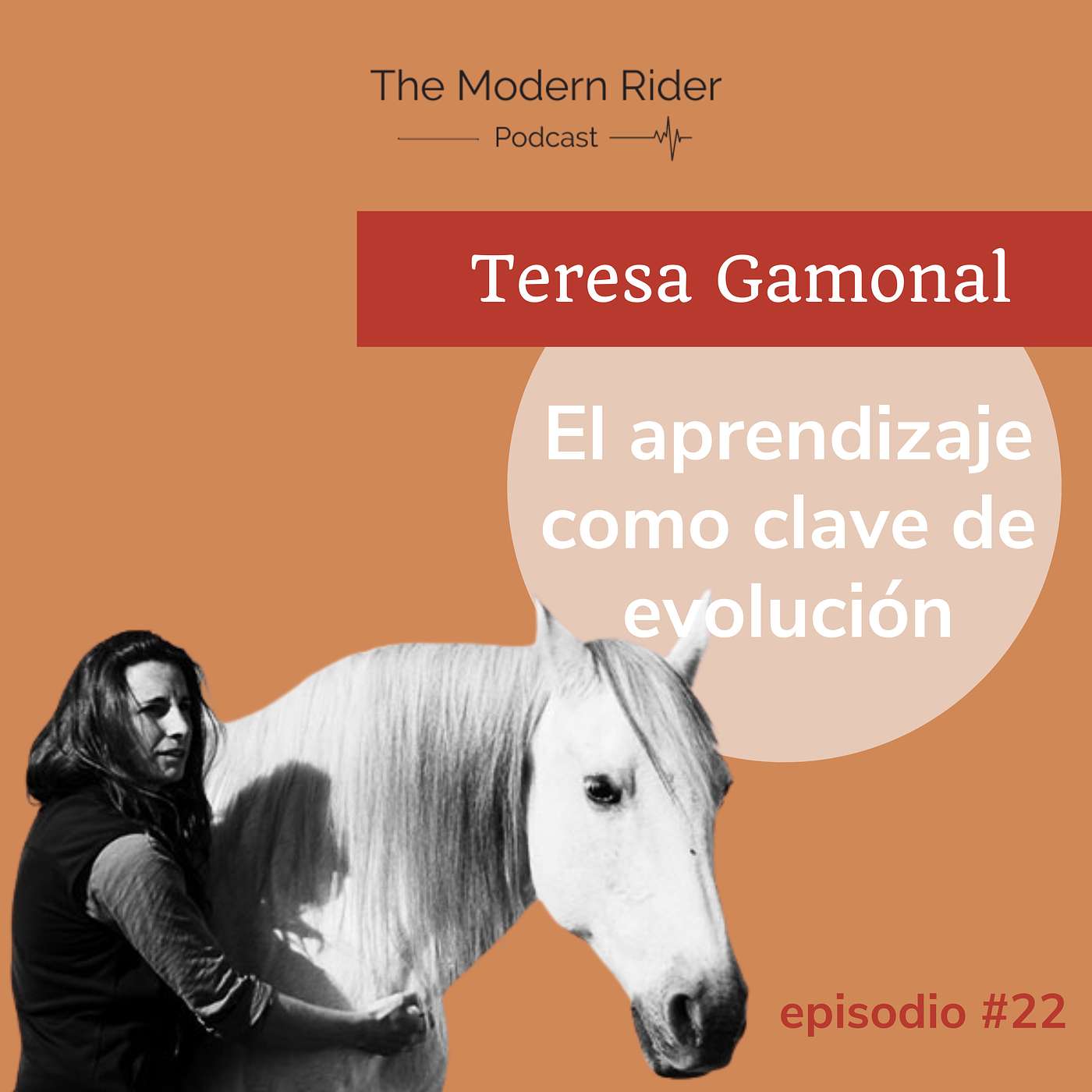 The Modern Rider