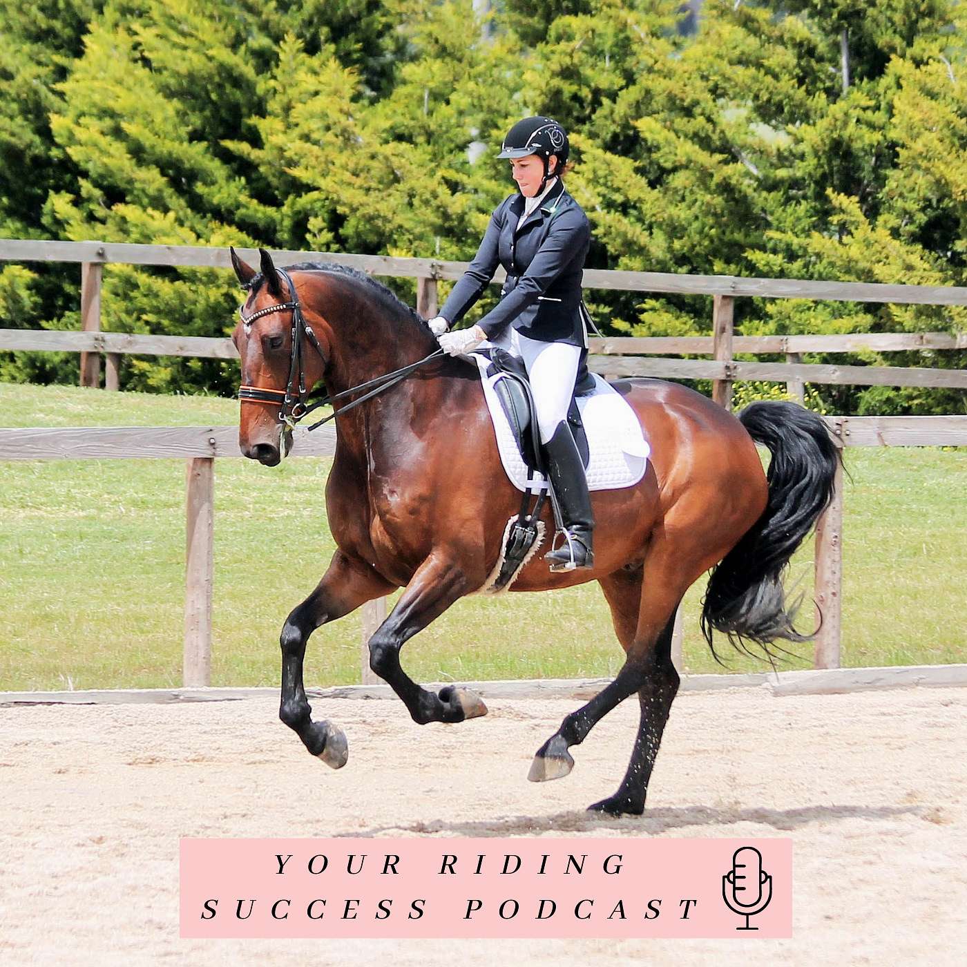 Your Riding Success!!