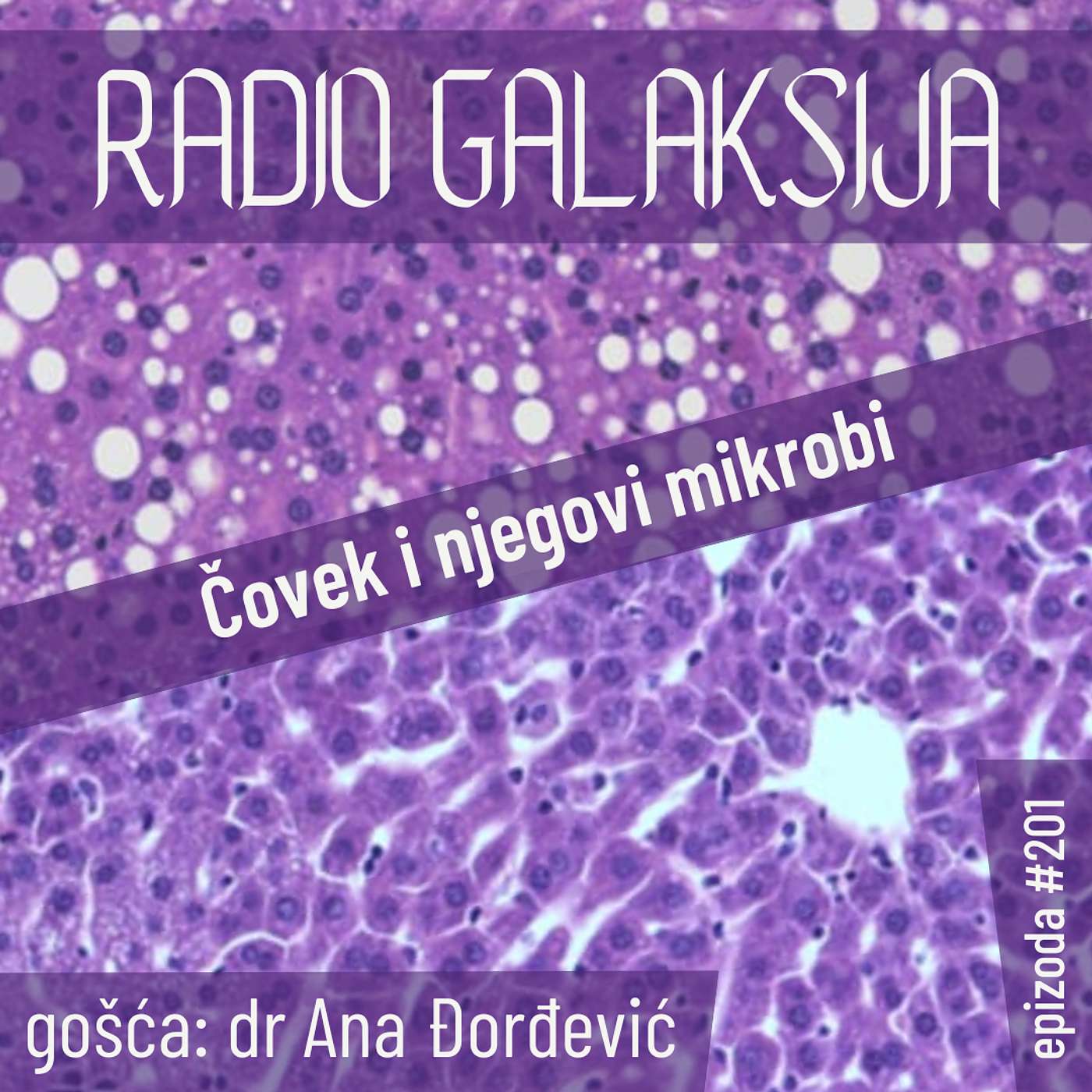 Radio Galaksija #201: Čovek i njegovi mikrobi (dr Ana Đorđević) [11-11-2025]