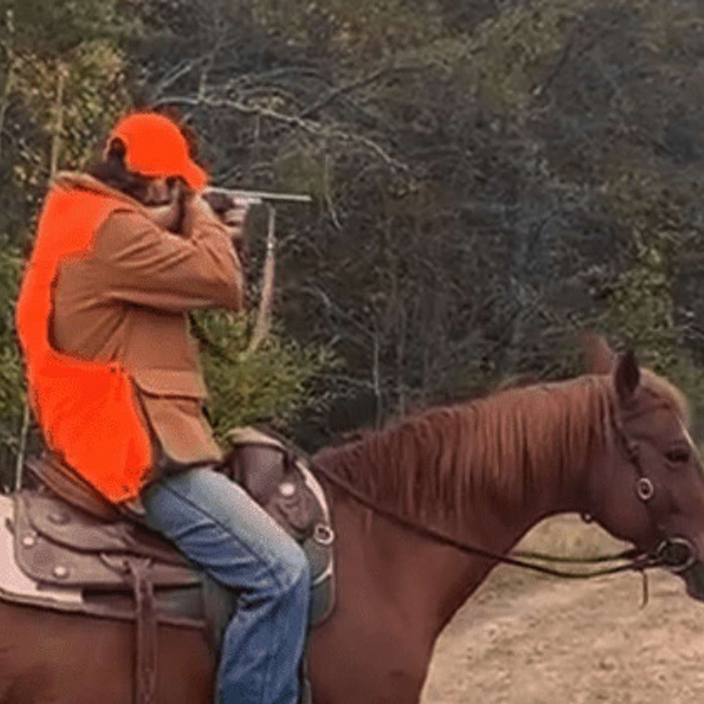 Grouse Hunting From Horseback And Much More With This New Outfitter! episode artwork