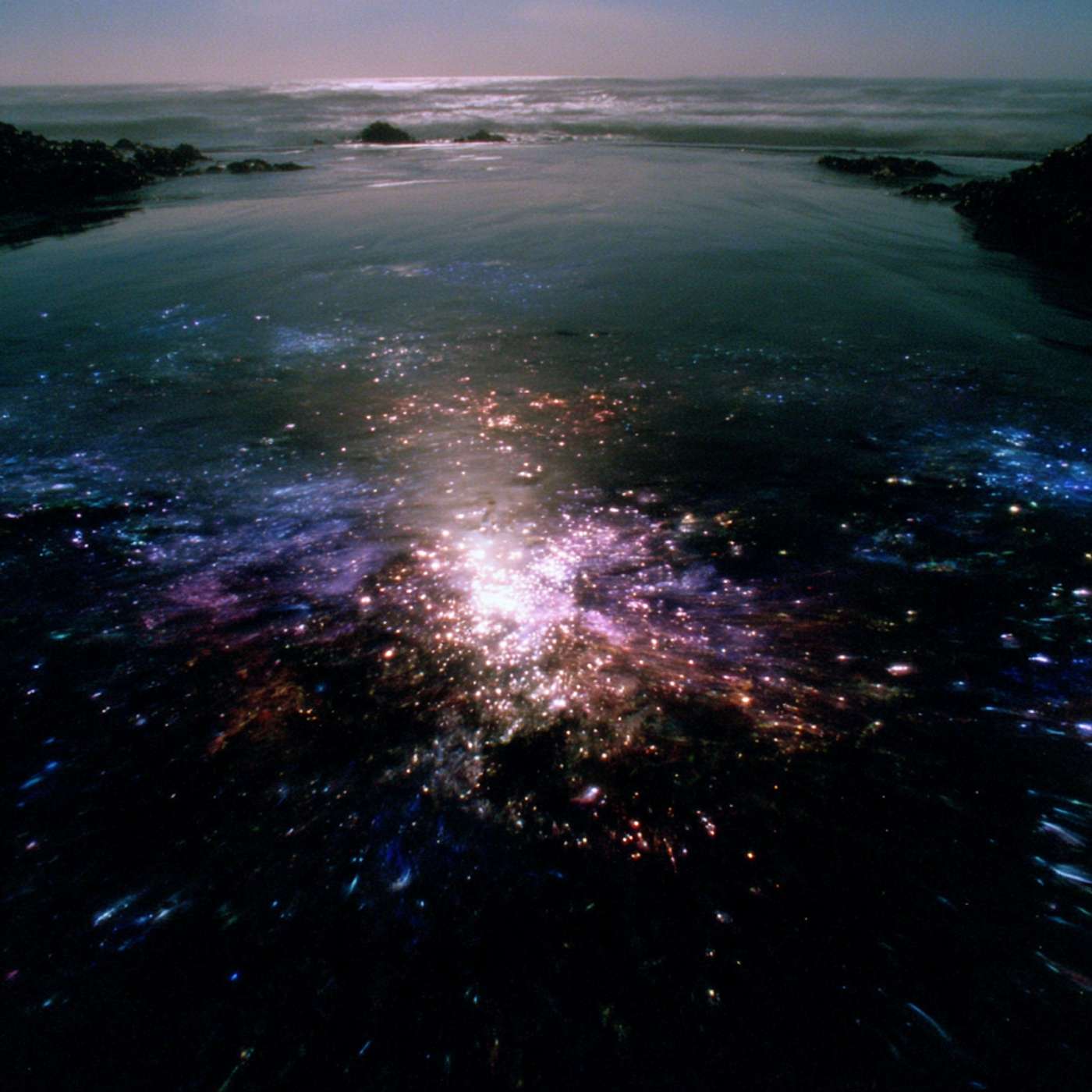 The Midnight Tide Pools