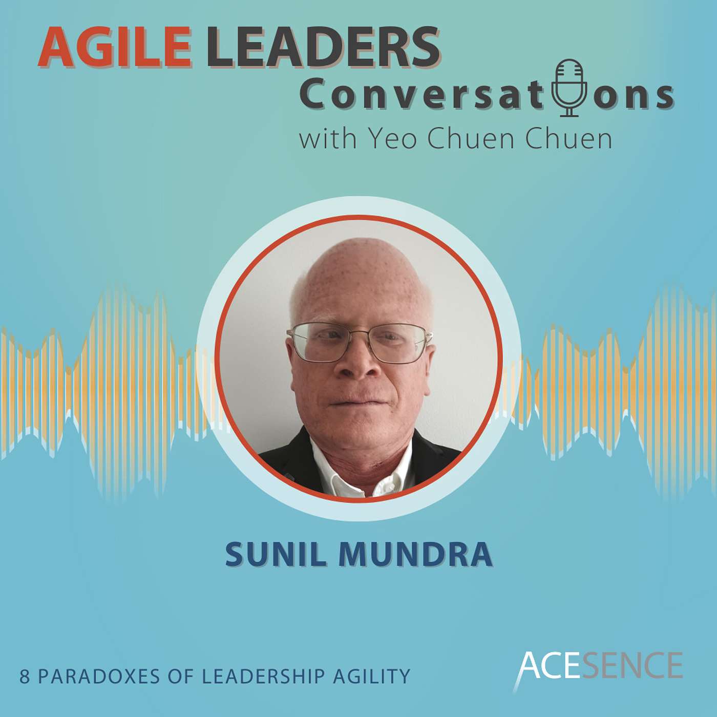 Agile Leaders Conversations – Insights From Leading Positive Change in the VUCA World