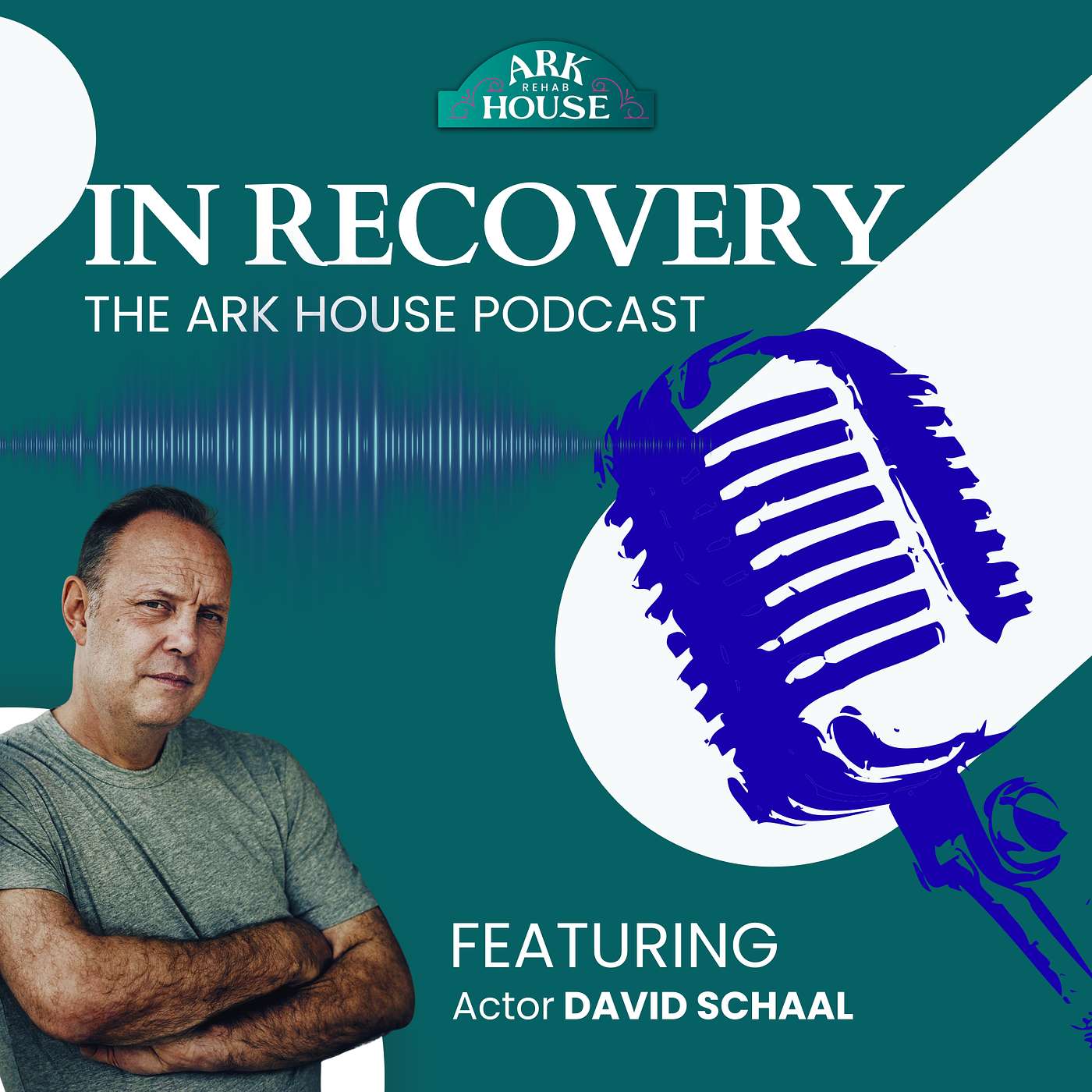 IN RECOVERY - The Ark House Podcast - S2 EP 6 - Feat DAVID SCHAAL (The Inbetweeners) episode artwork