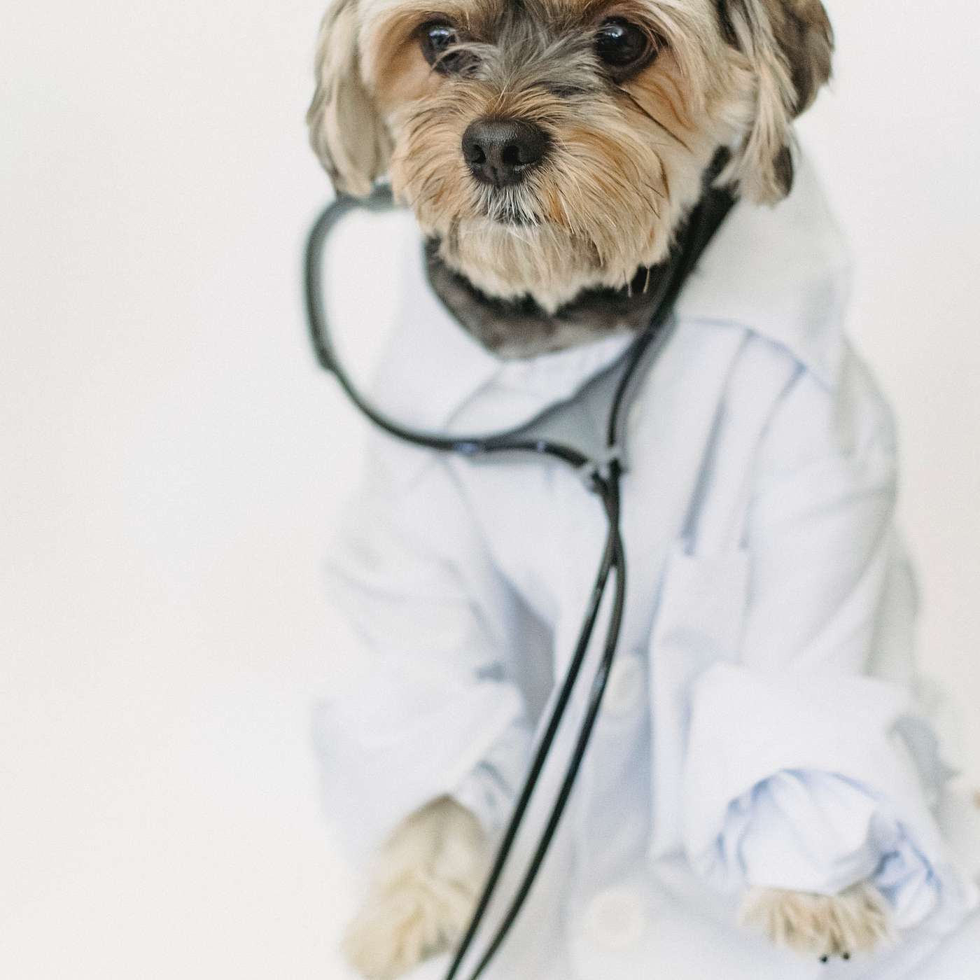 M4 | Internal Medicine AI episode artwork