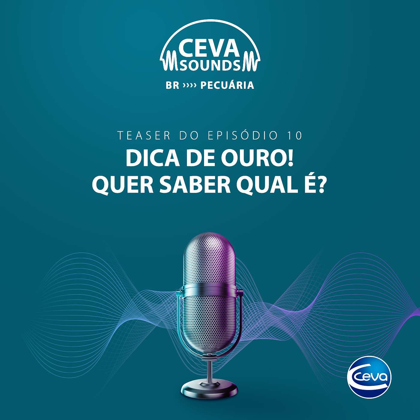 Serie Manejo de Secagem #10 Dica de ouro! Quer saber qual é? episode artwork
