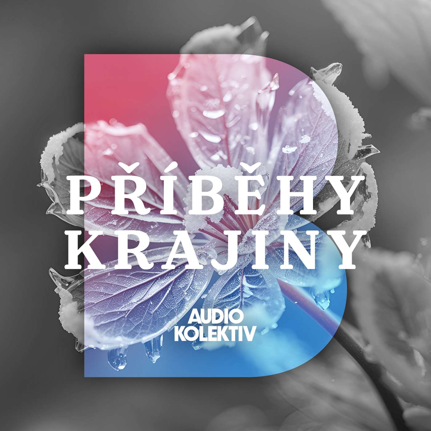 Příběhy krajiny: Bonus 1/ Zázračný Antonínův pramen - Adventní příběh z Jeseníků