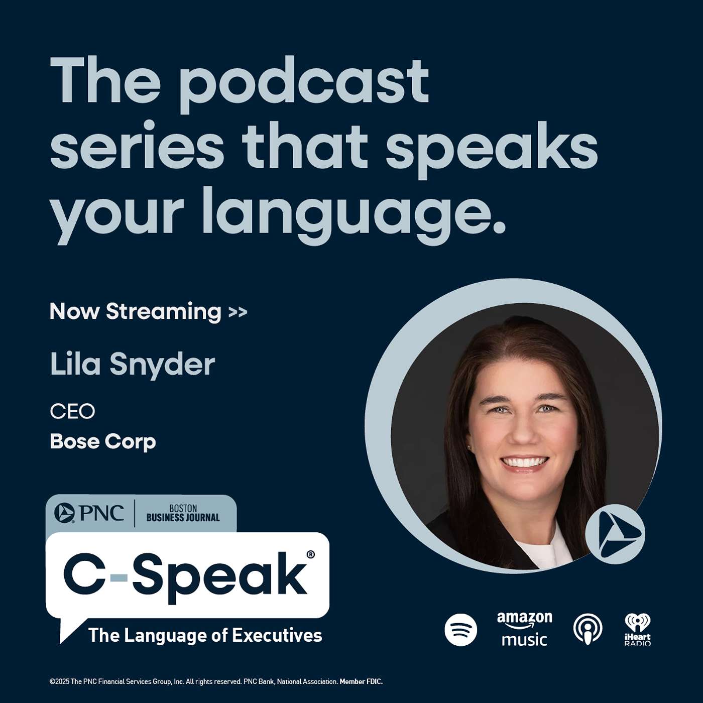 C-Speak: The Language of Executives