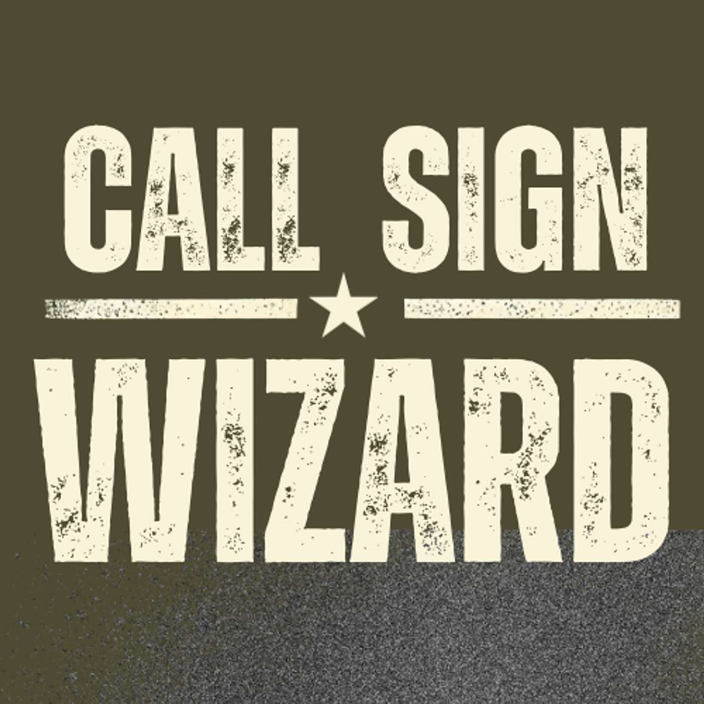 Call Sign: Wizard  (Veteran-Focused Therapy)