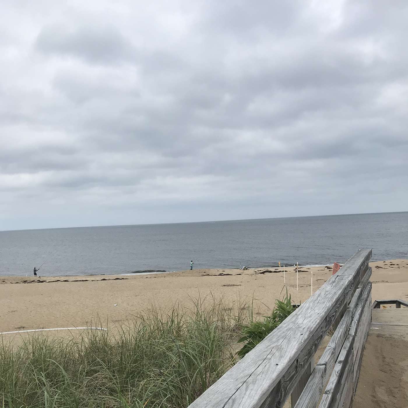 29th Stop, Sandy Beach in Parker River National Wildlife July 25, 2021 2:00 pm