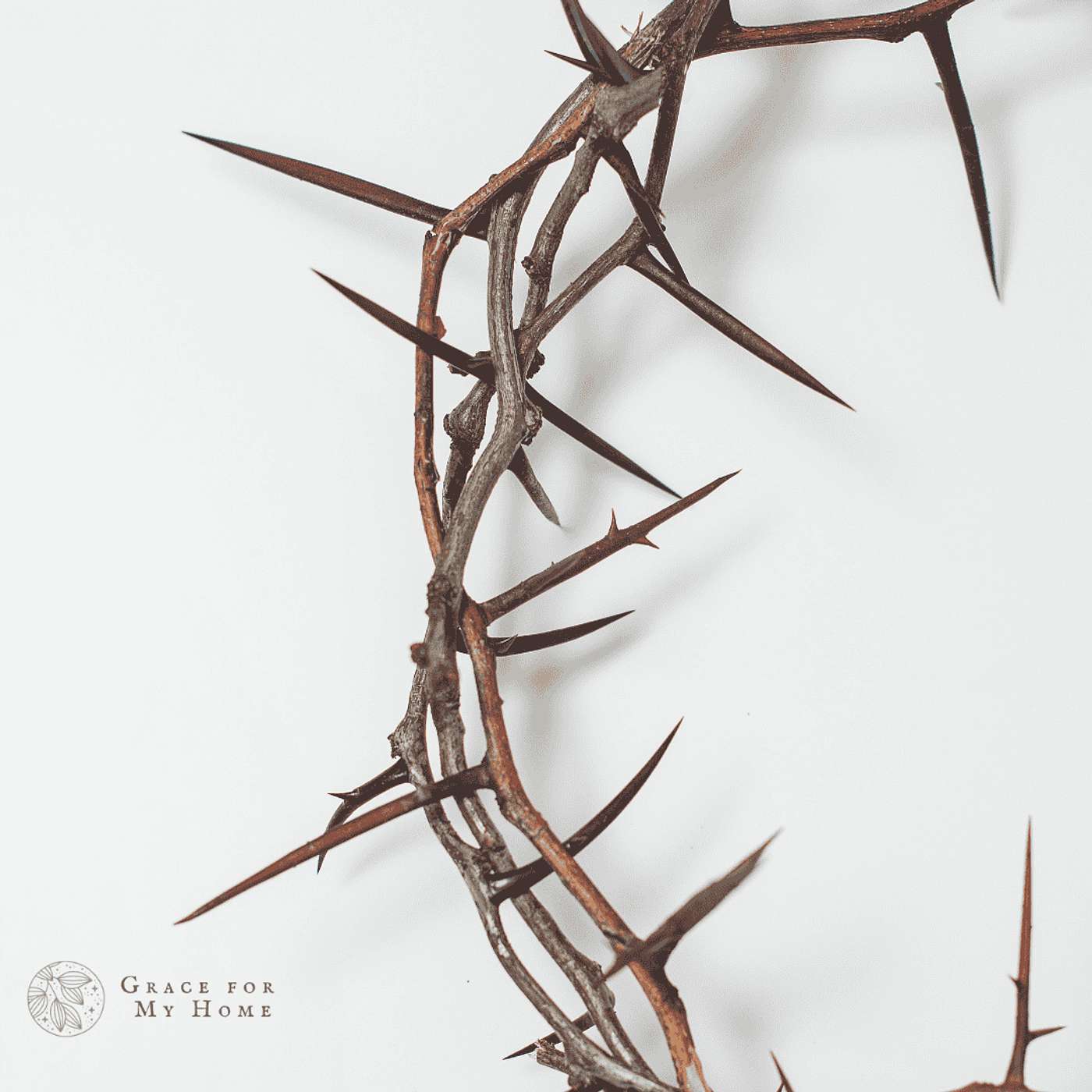 Healing Begins with Humility