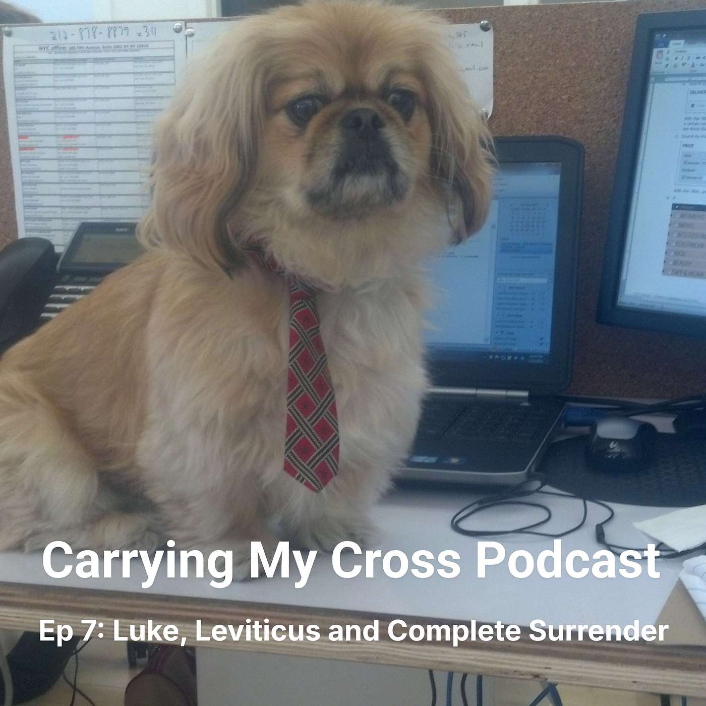 Ep 7: Luke, Leviticus, and Complete Surrender episode artwork