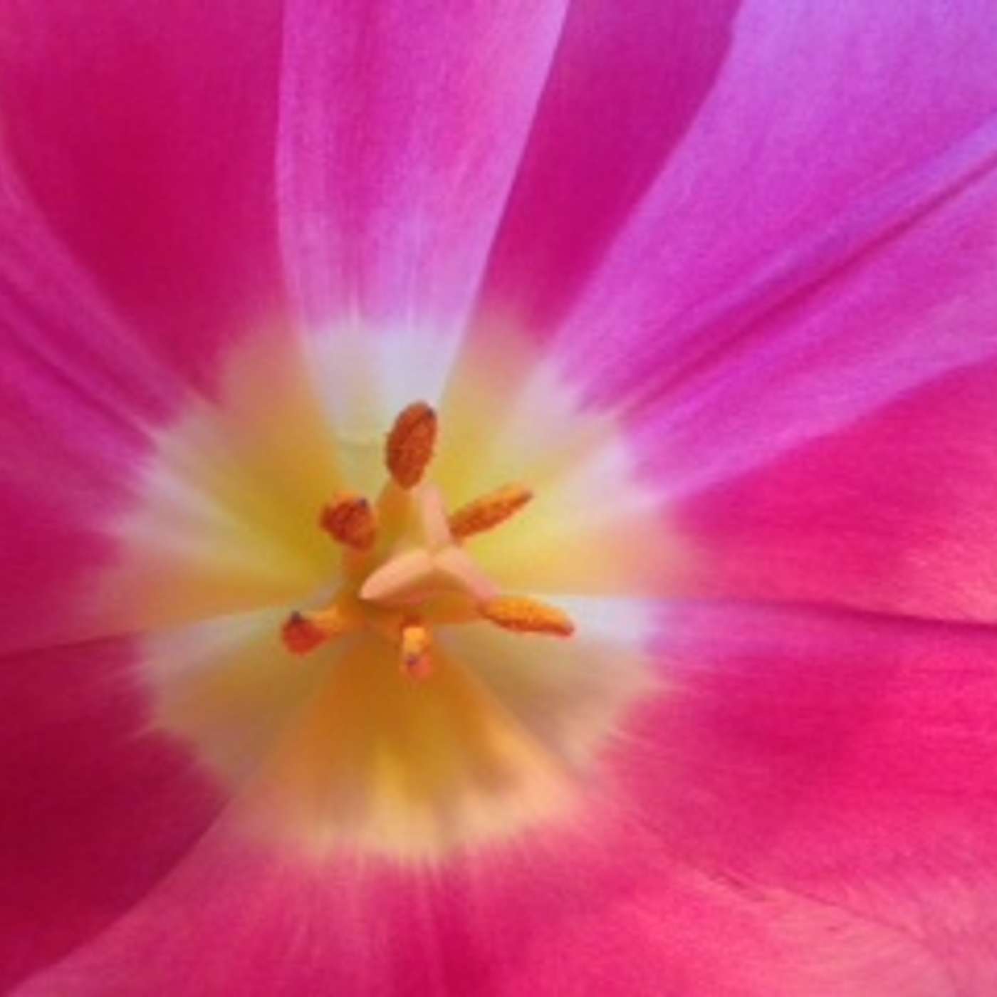 How to Be the Change You Wish to See in the World