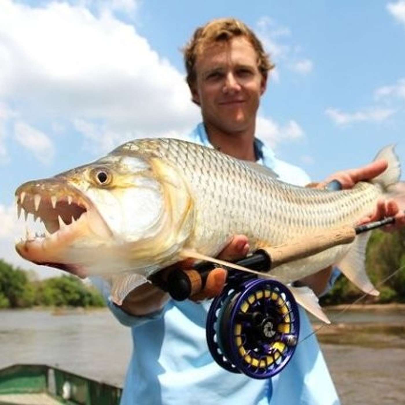 202 Sven Verwiel - How to unlock the potential of syntropic agroforestry in East Africa