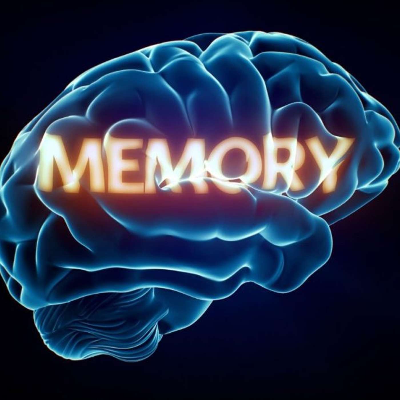 Episode 845 - Do Men have good Memories?