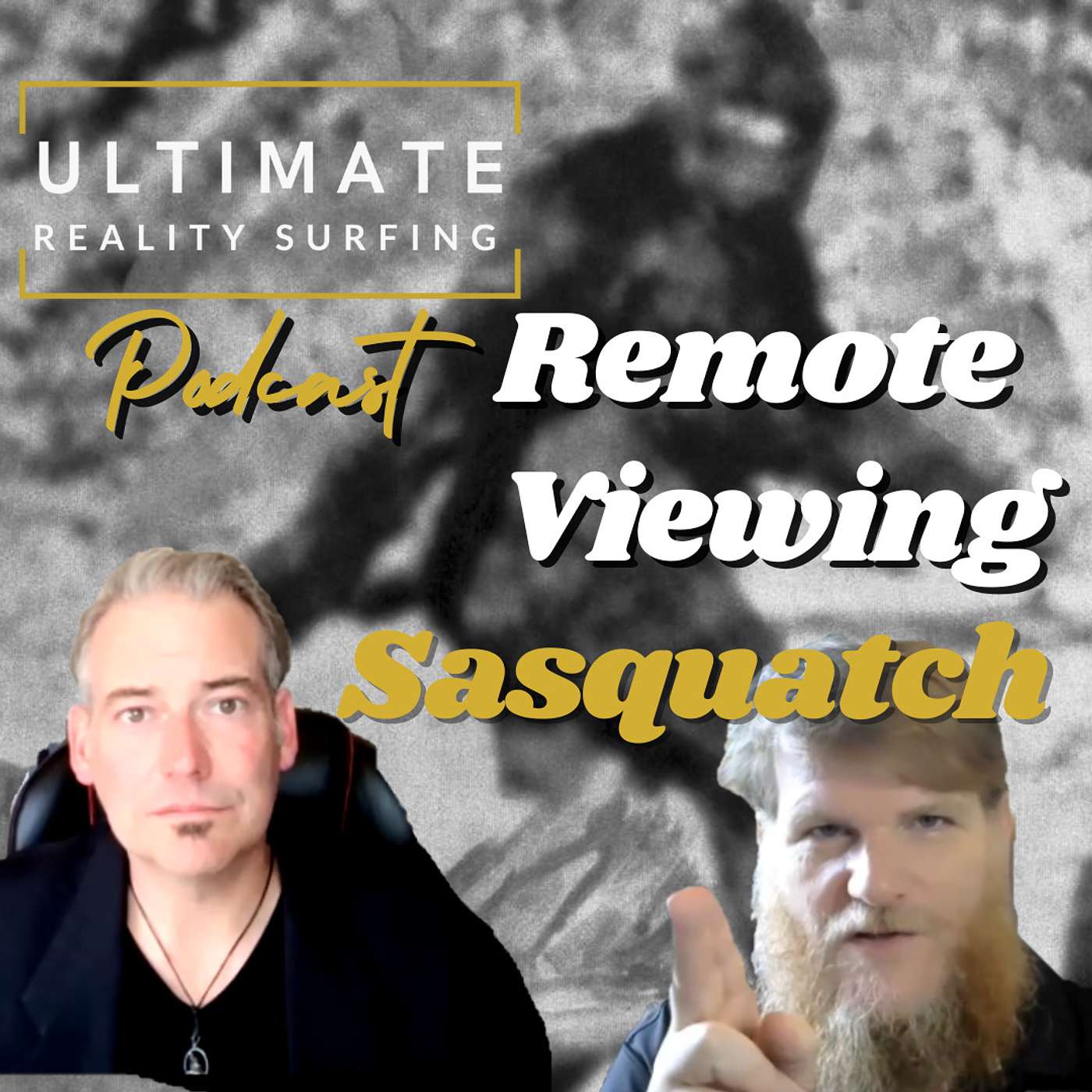 Remote Viewing Aliens, Sasquatch and the Loch Ness Monster