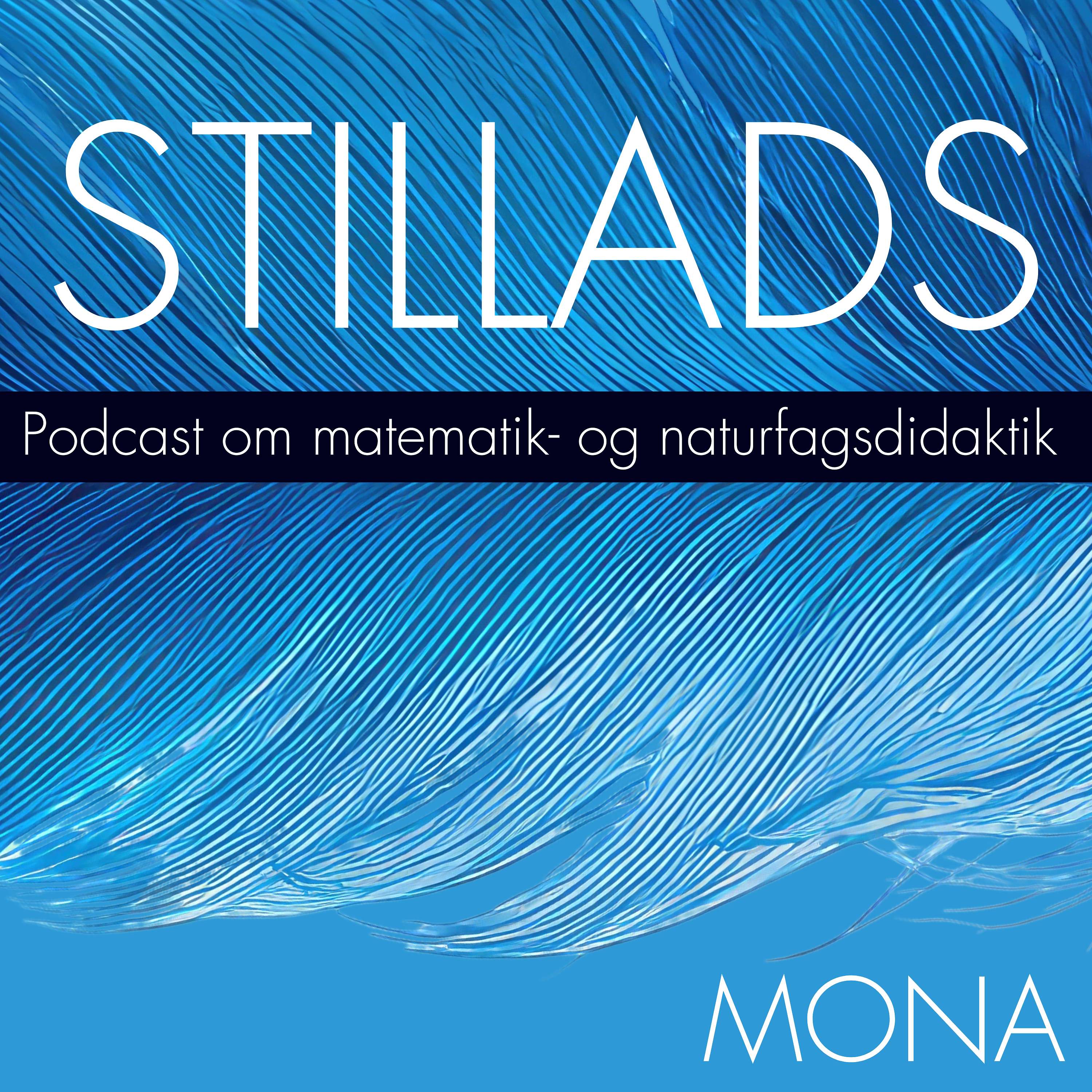 STILLADS - Matematik og naturfagsdidaktik