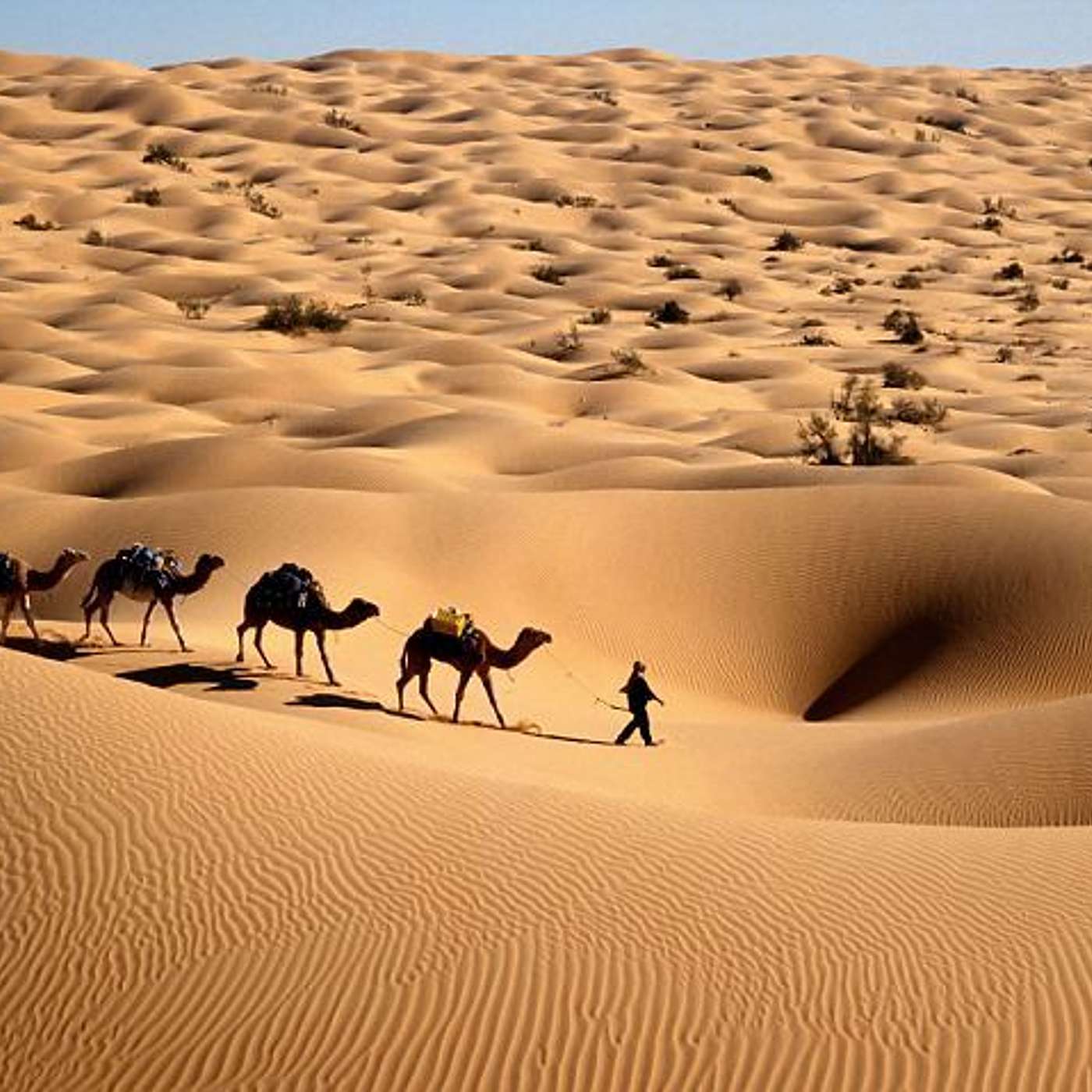 Episode 881 - It's not about Dessert, but a Desert!