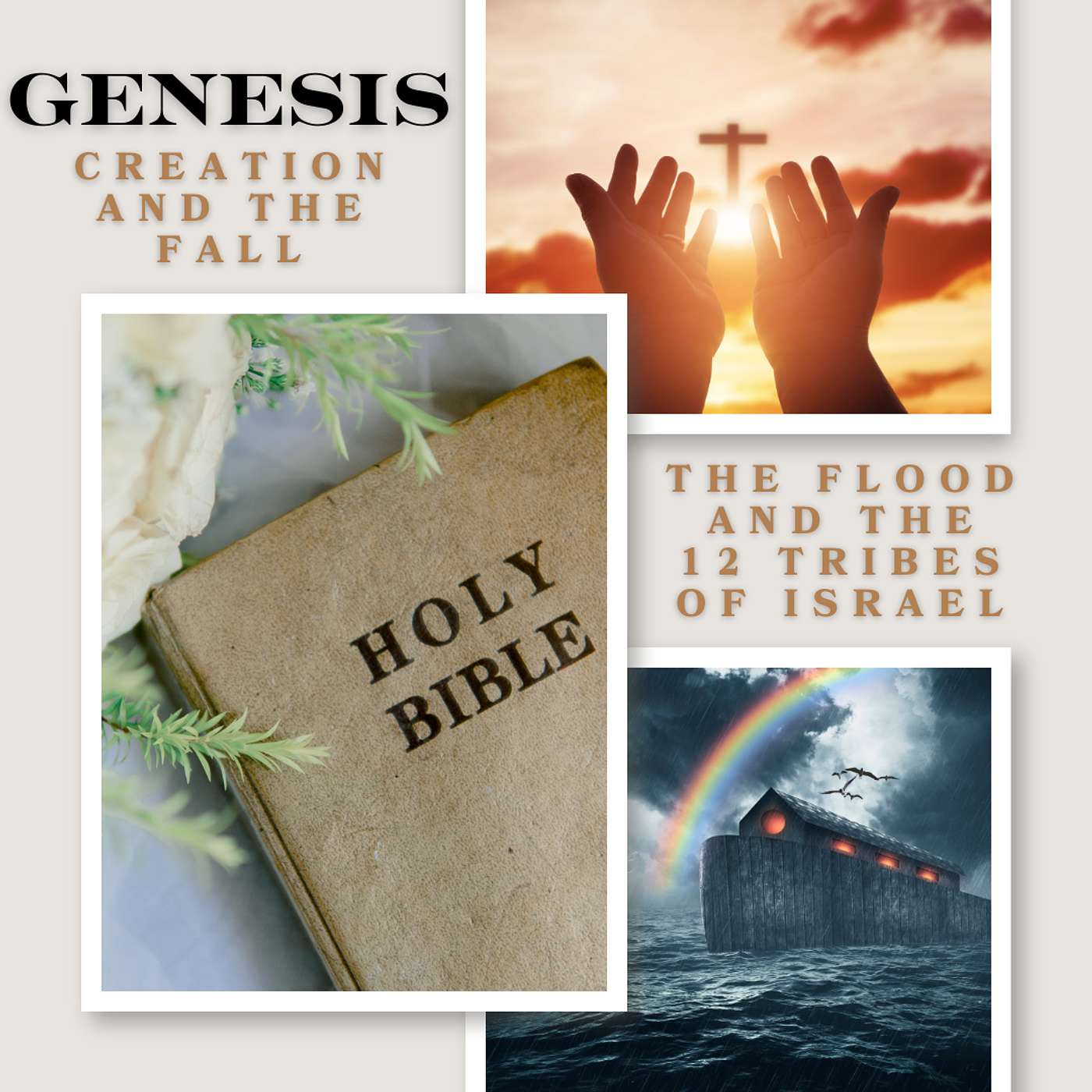 Creation's Blueprint: Unpacking God's Original Design