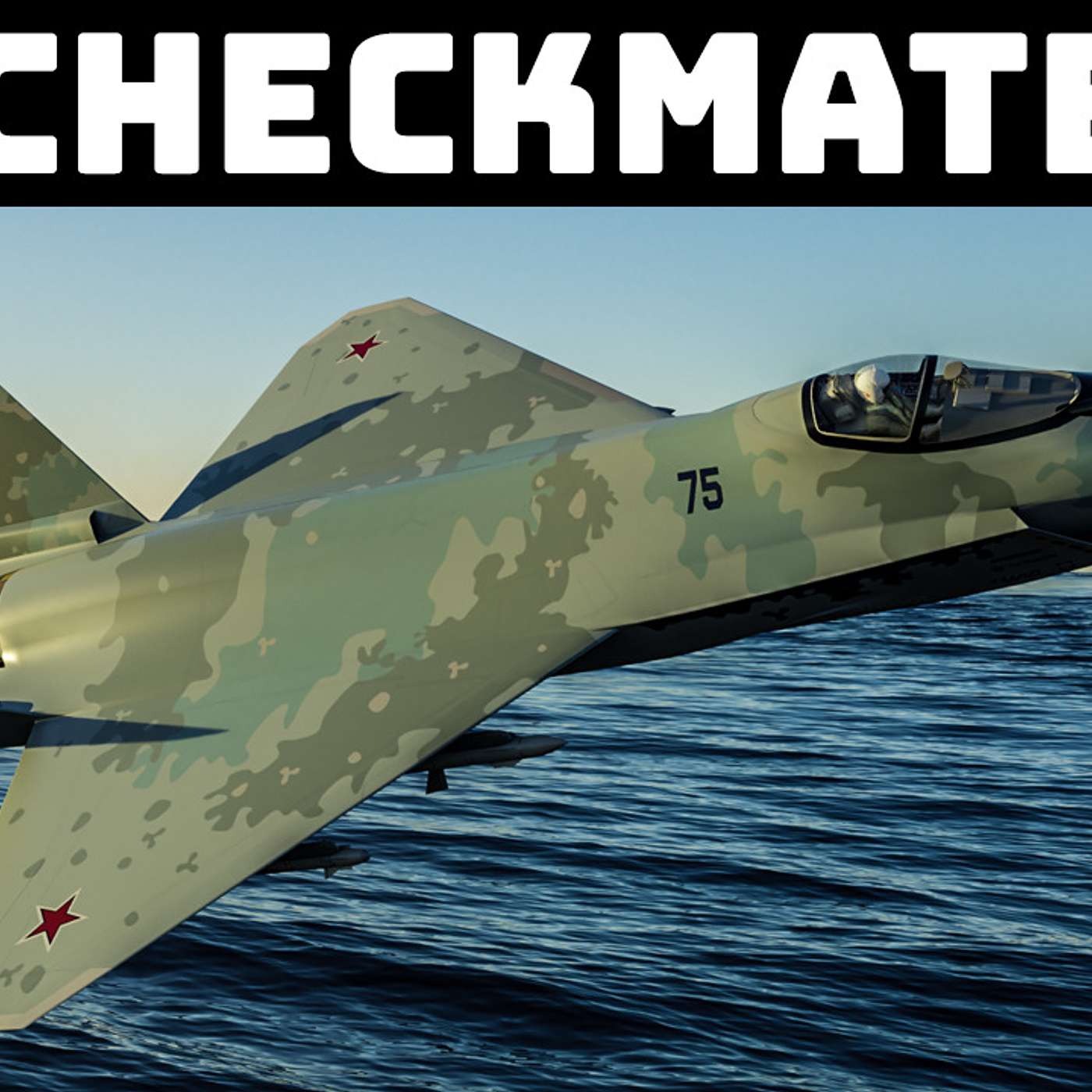 Checkmate!  Will it be the MiG-21 of the 21st Century?