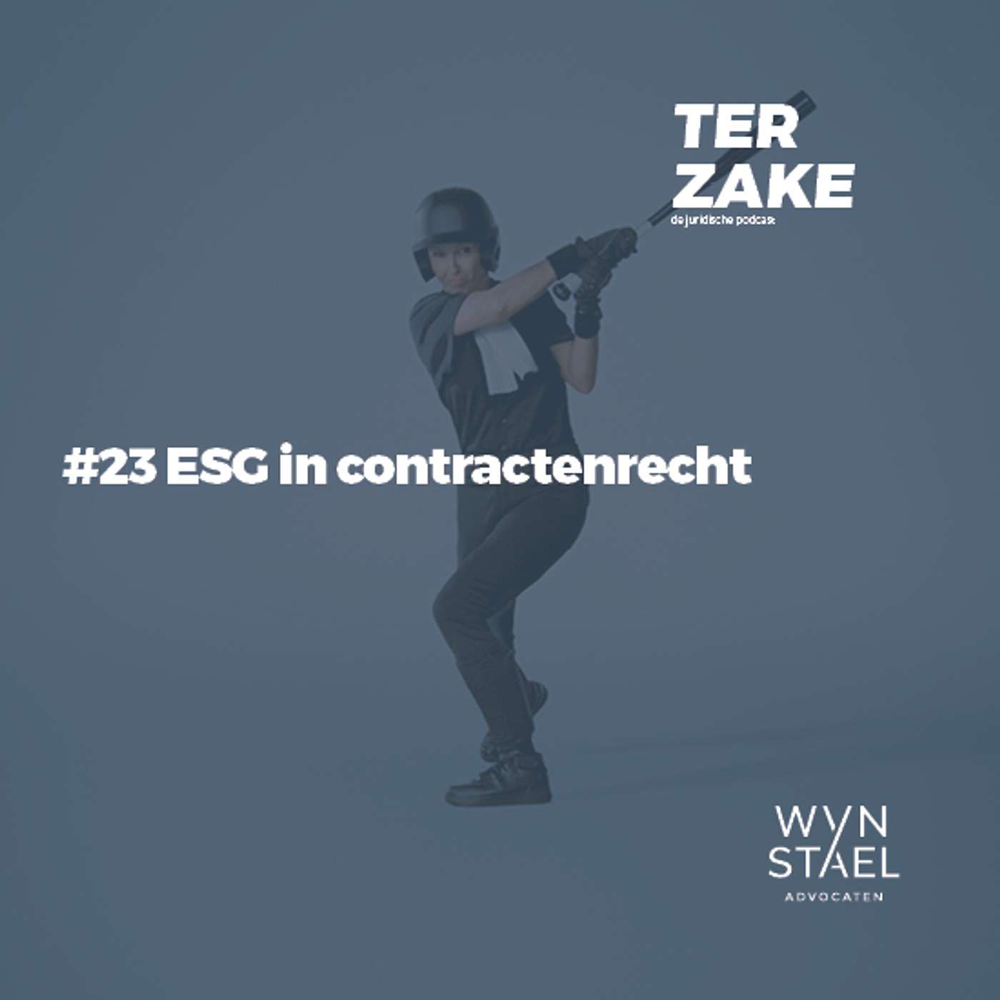 Ter zake
