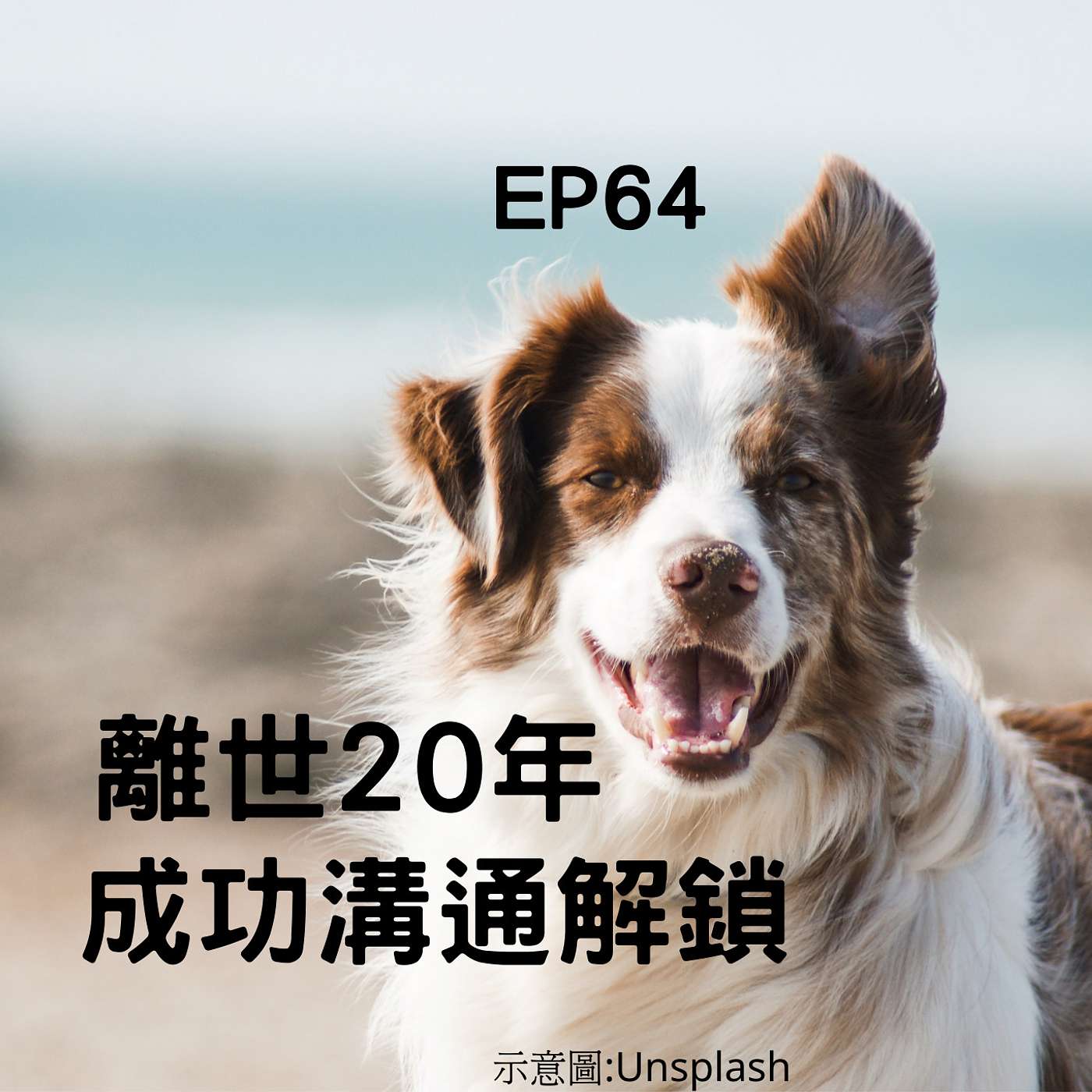 從0到1媒體人X斜槓 EP64 離世20年還能連上線嗎？安妮小姐成功解鎖！！(柚子貍&安妮動物園) episode artwork