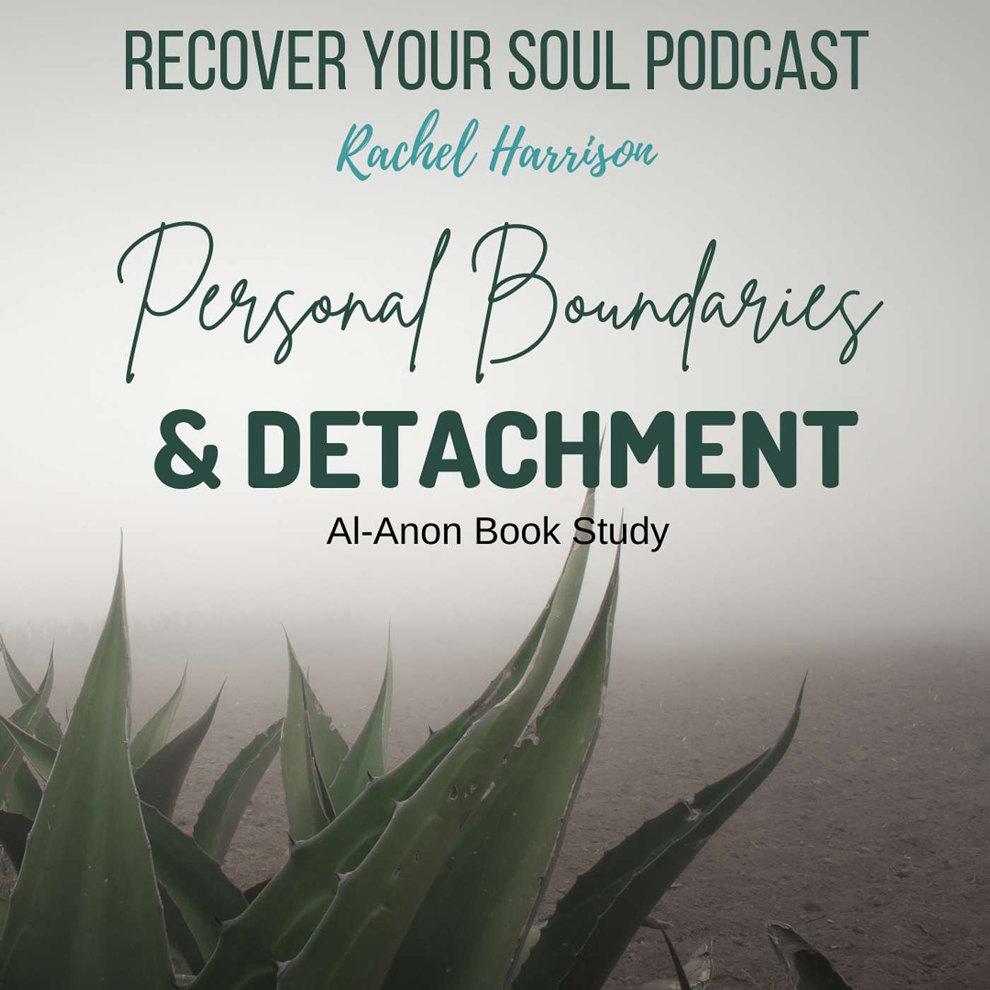 Al-Anon Book Study - Personal Boundaries and Detachment Through the Lens of Recover Your Soul episode artwork