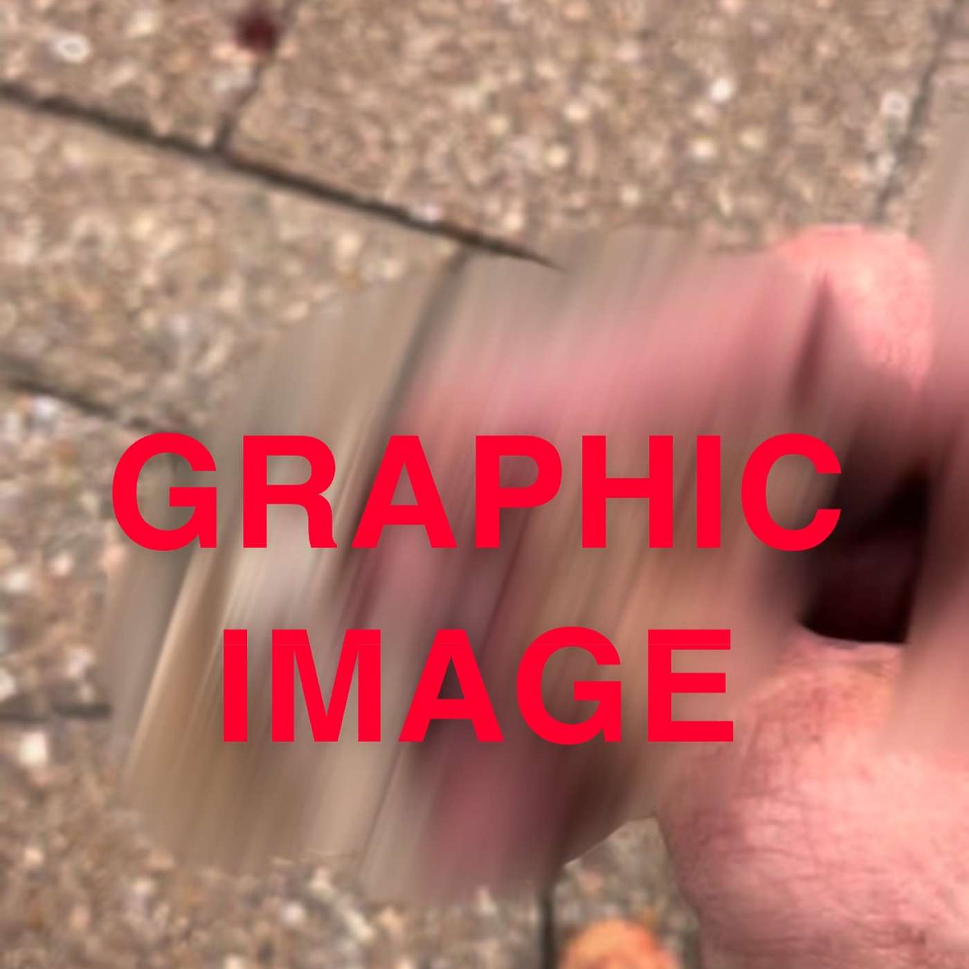 Episode 54: A Raccoon Bites a Hole in Michael
