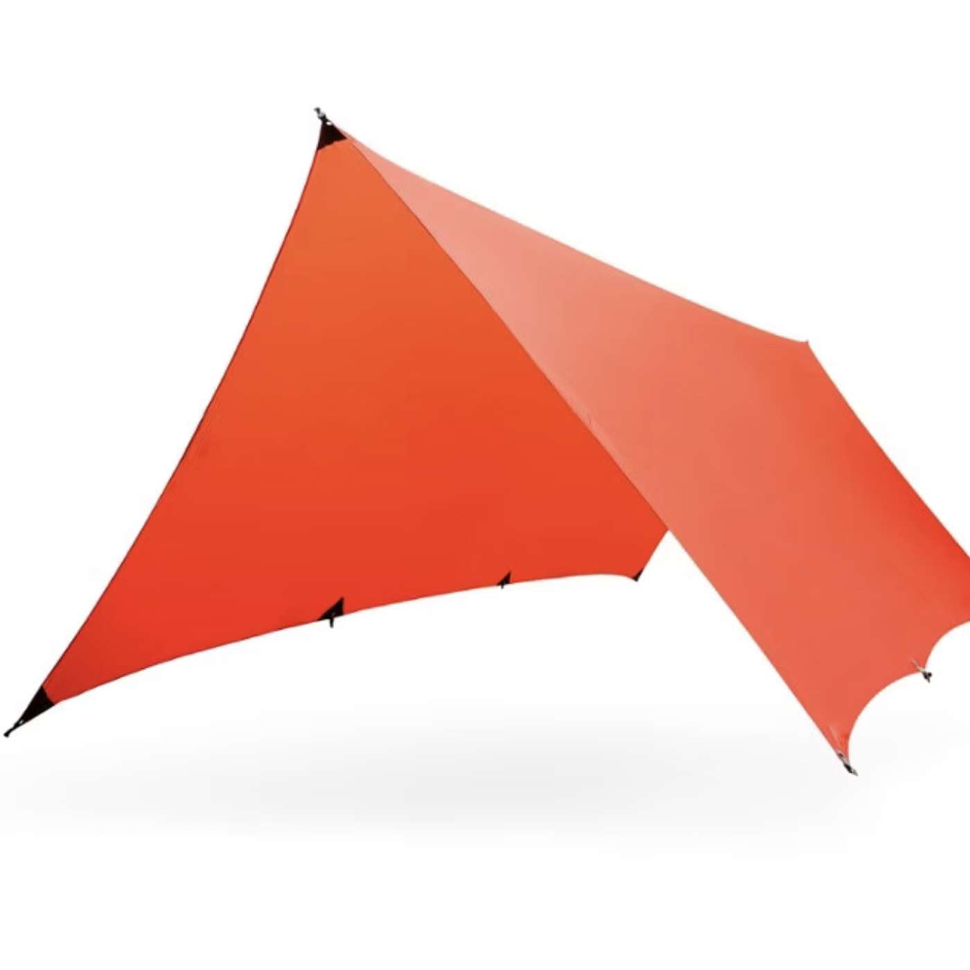 Thursday, August 15, 2024 - Danger, Damon J. Gulczynski's in attack mode 😀 😀