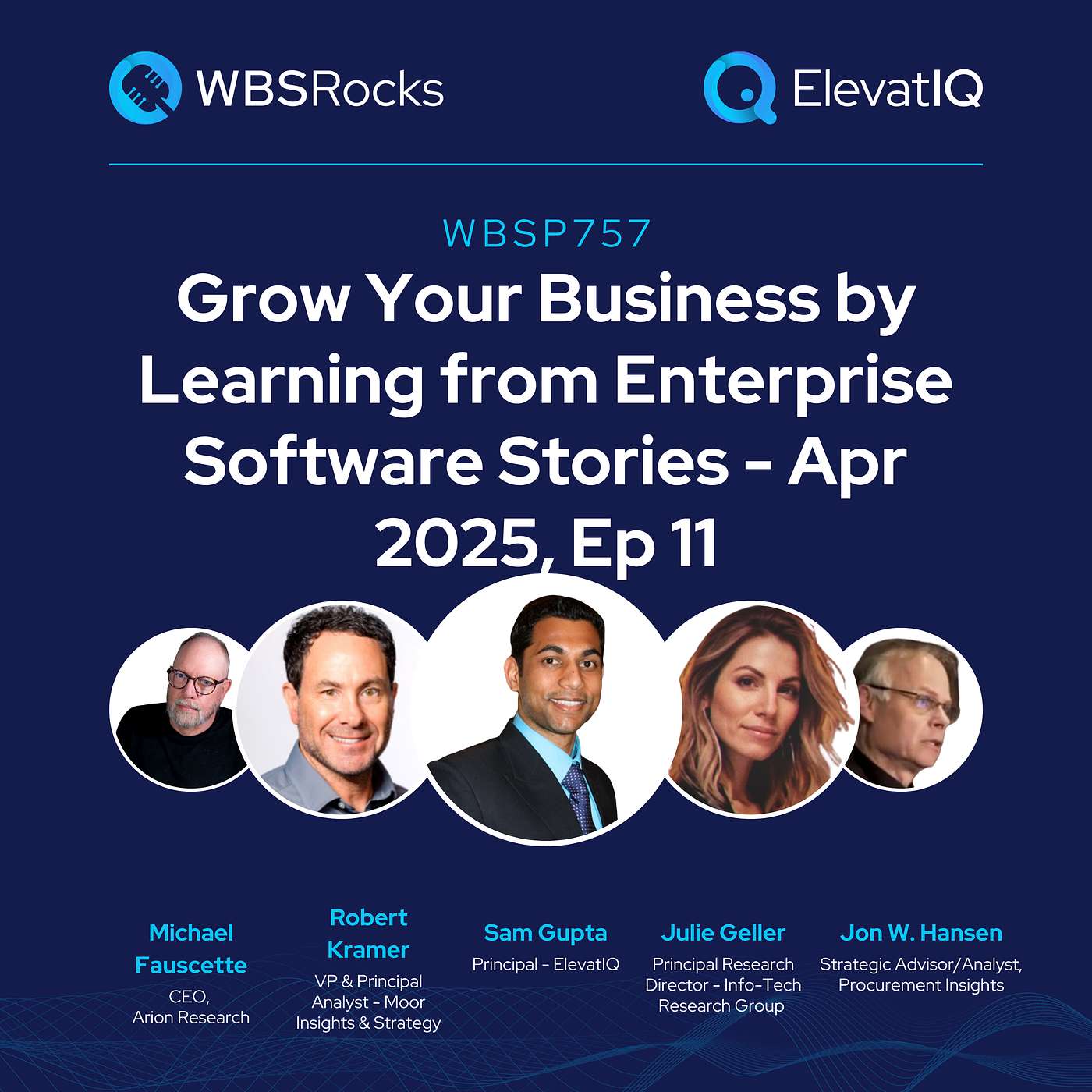 WBSP757: Grow Your Business by Learning from Enterprise Software Stories - Apr 2025, Ep 11, an Objective Panel Discussion