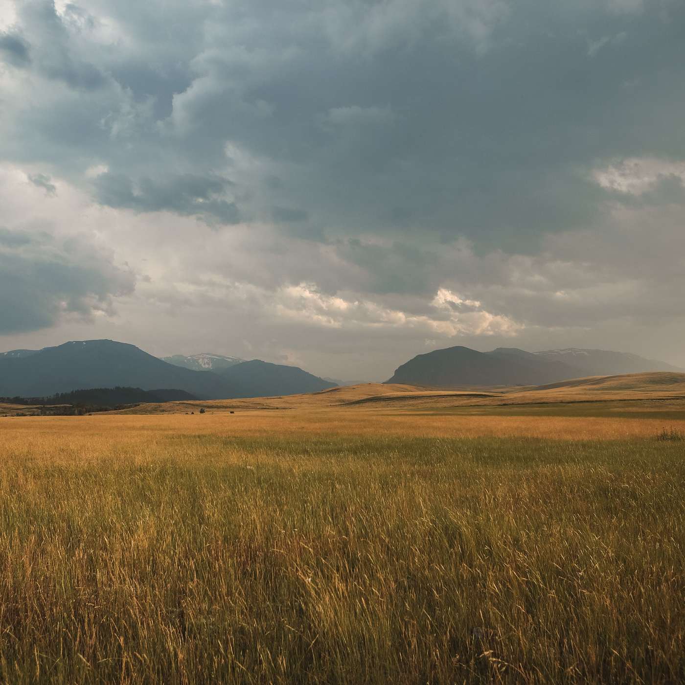 Loving God with All Your Mind Through Studying Philosophy with Dr. Adam Groza Loving God with All Your Mind Through Studying Philosophy with Dr. Adam Groza