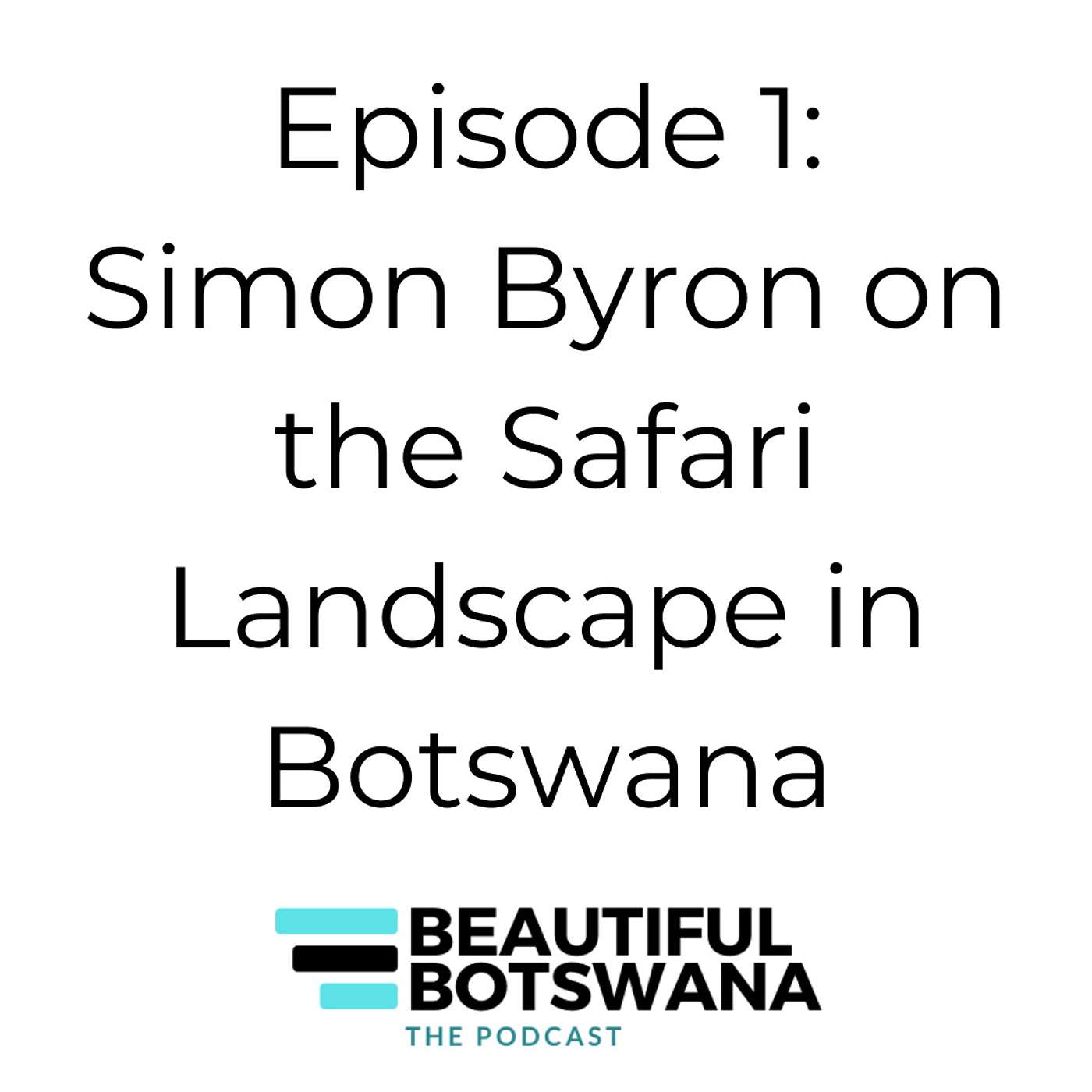1 - Simon Byron - The Safari Landscape