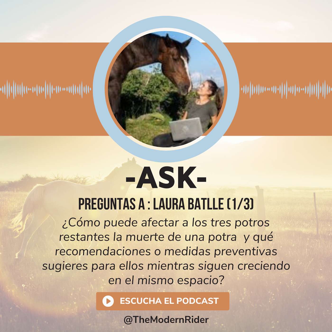 [ASK] Preguntas a Laura Batlle (1/3) : ¿Cómo puede afectar a los potros restantes la muerte de una potra  y qué recomendaciones o medidas preventivas sugieres para ellos mientras siguen creciendo en el mismo espacio?