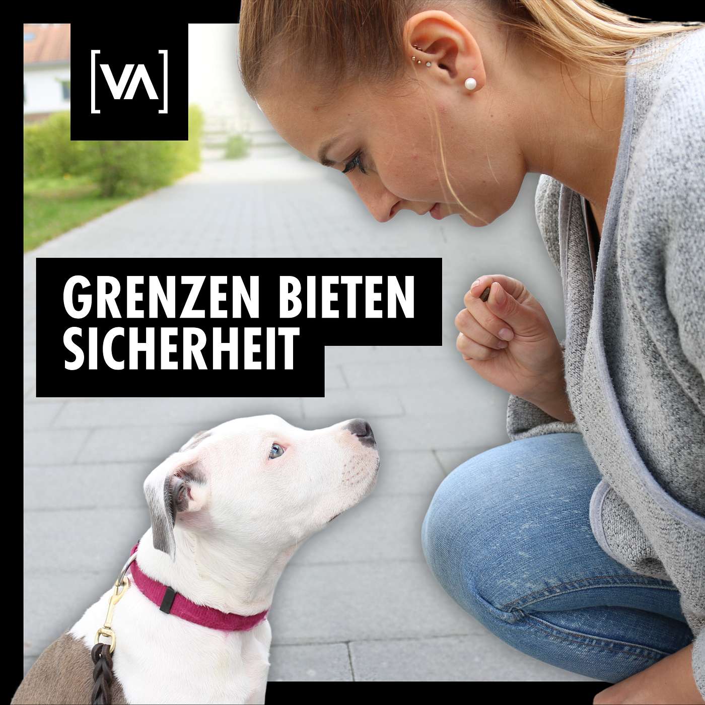 Die ersten 14 Tage mit deinem neuen Hund | Herausforderungen der Hundehaltung