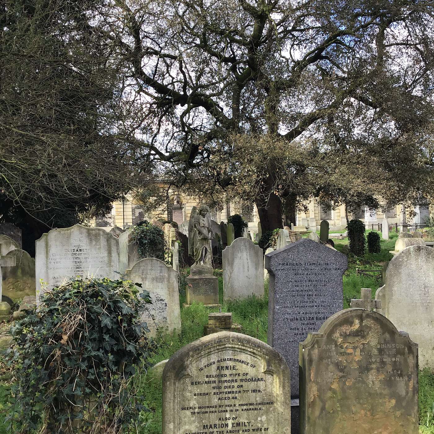 The History of Actor Training in the British Drama School.