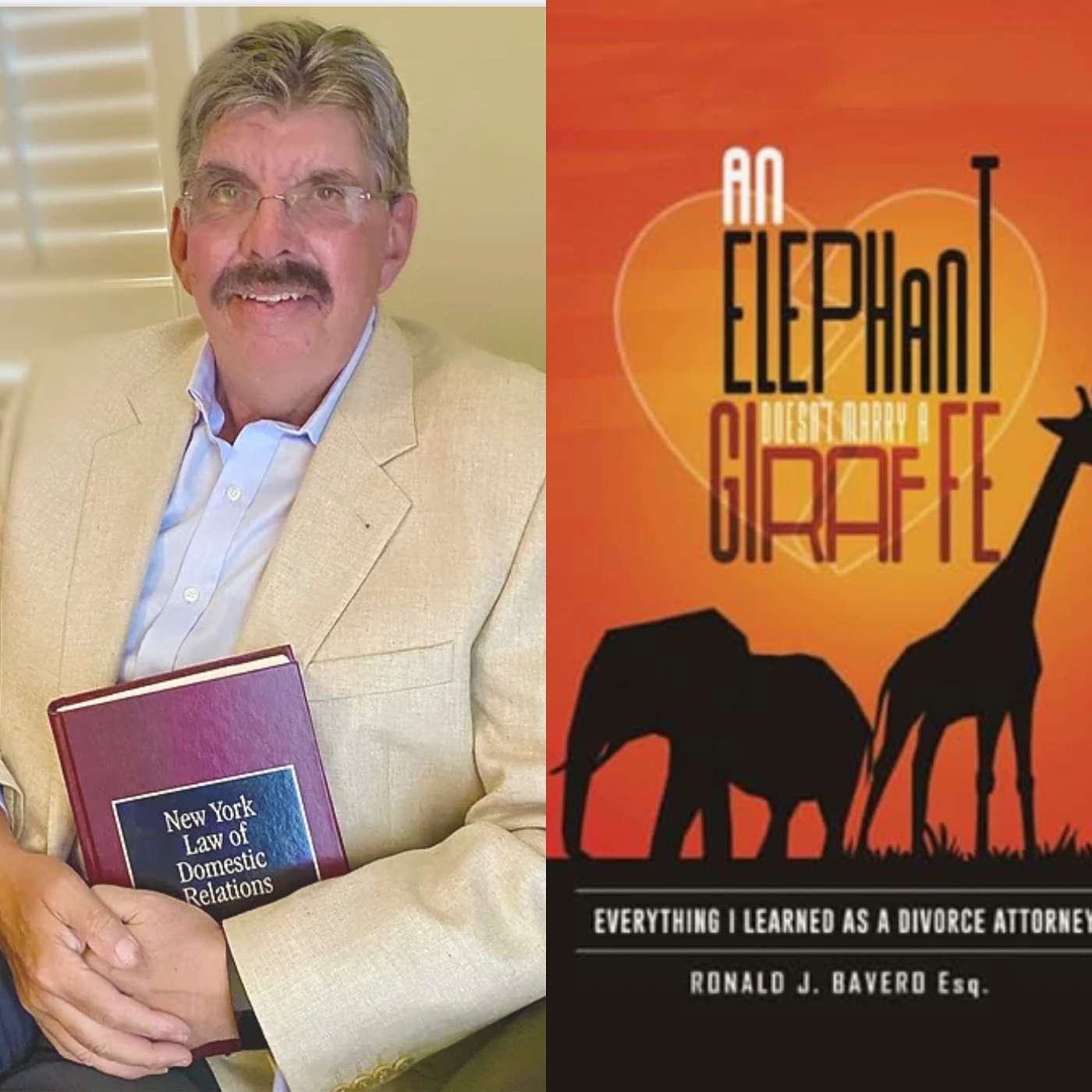 Matrimonial And Family Law Issues With Author, Attorney Ronald J. Bavero, Esq.